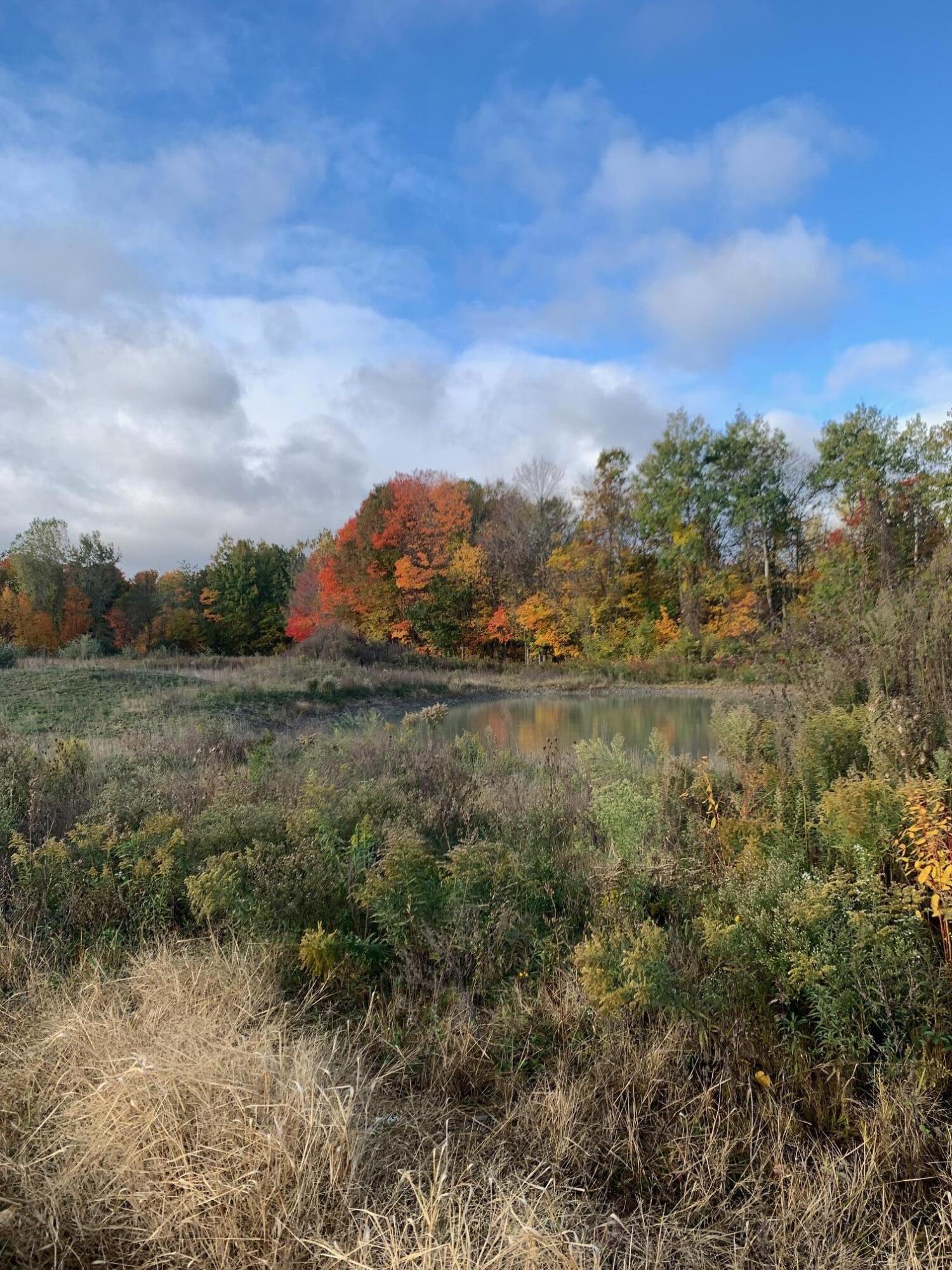 V/l Hidden Creek Trail Hamilton MI 49419