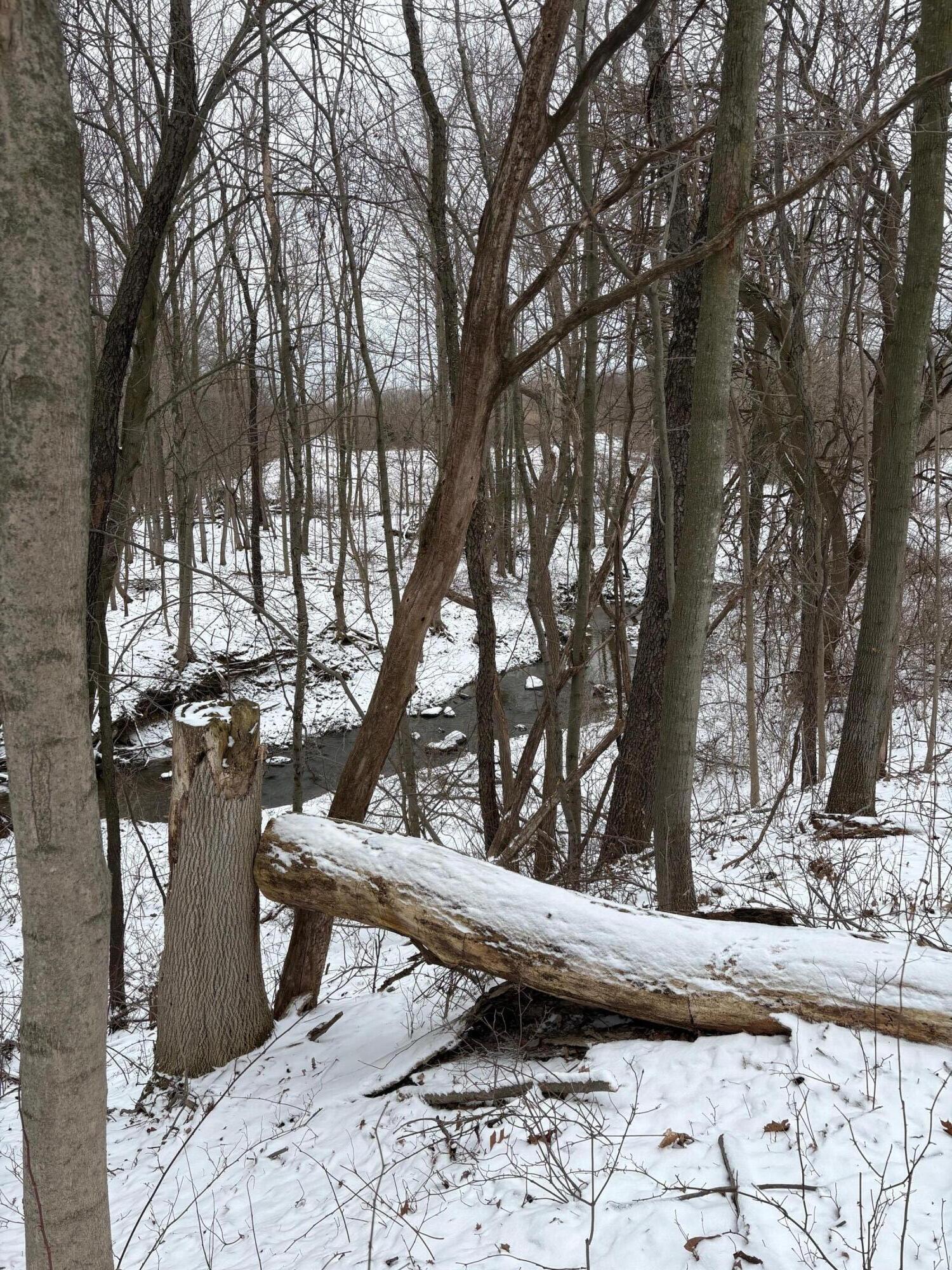 V/l Hidden Creek Trail Hamilton MI 49419