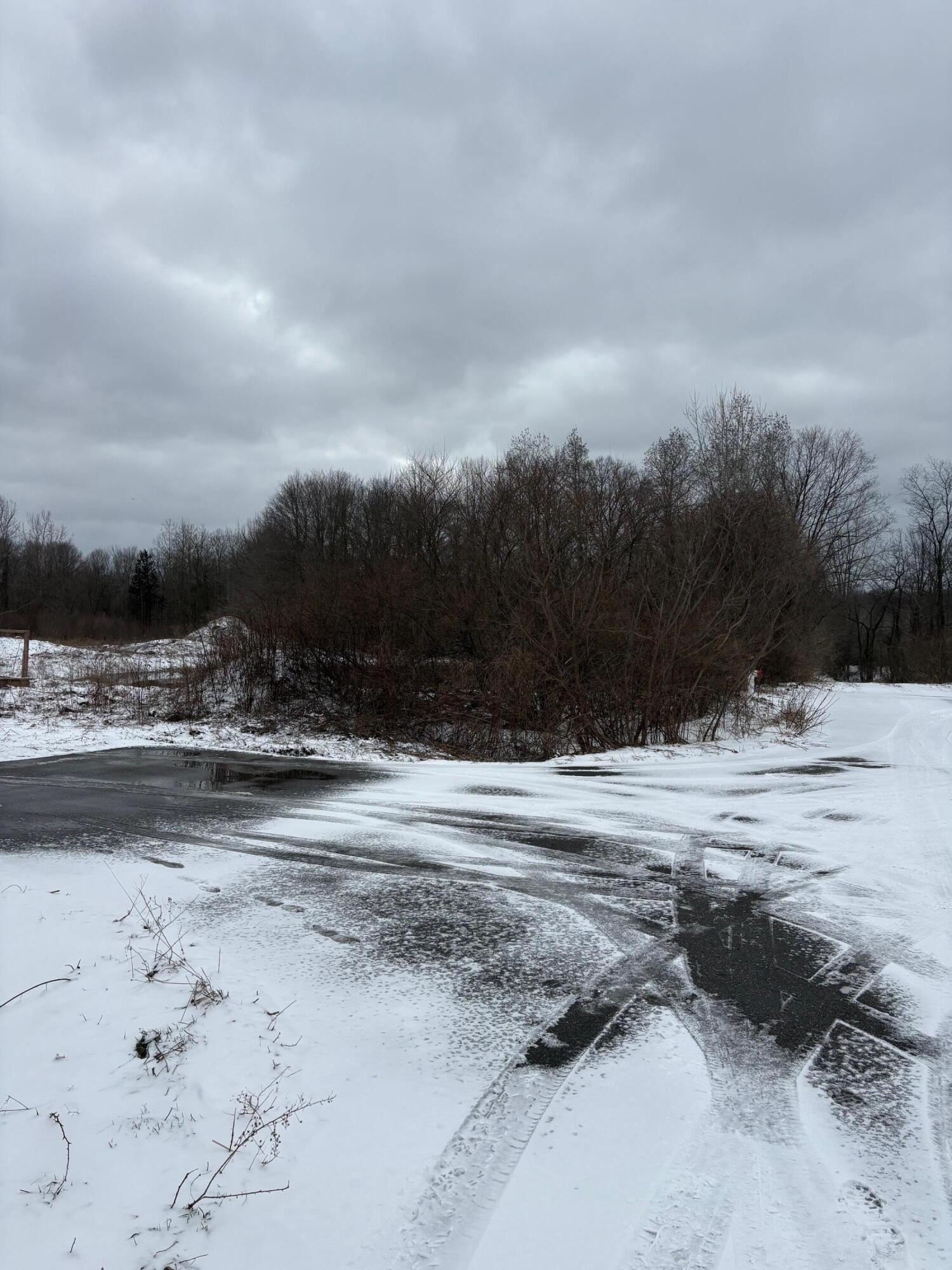 V/l Hidden Creek Trail Hamilton MI 49419
