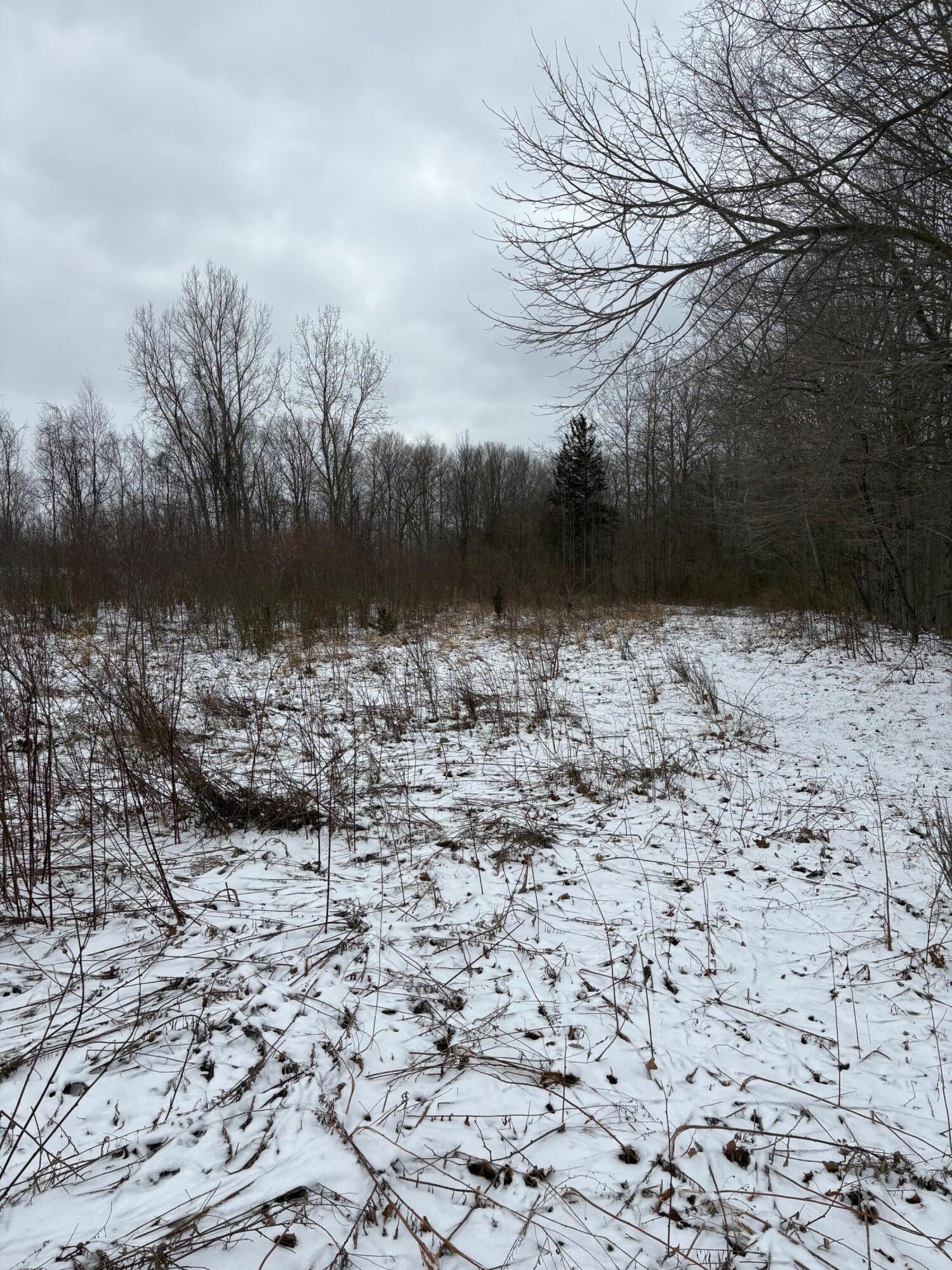 V/l Hidden Creek Trail Hamilton MI 49419
