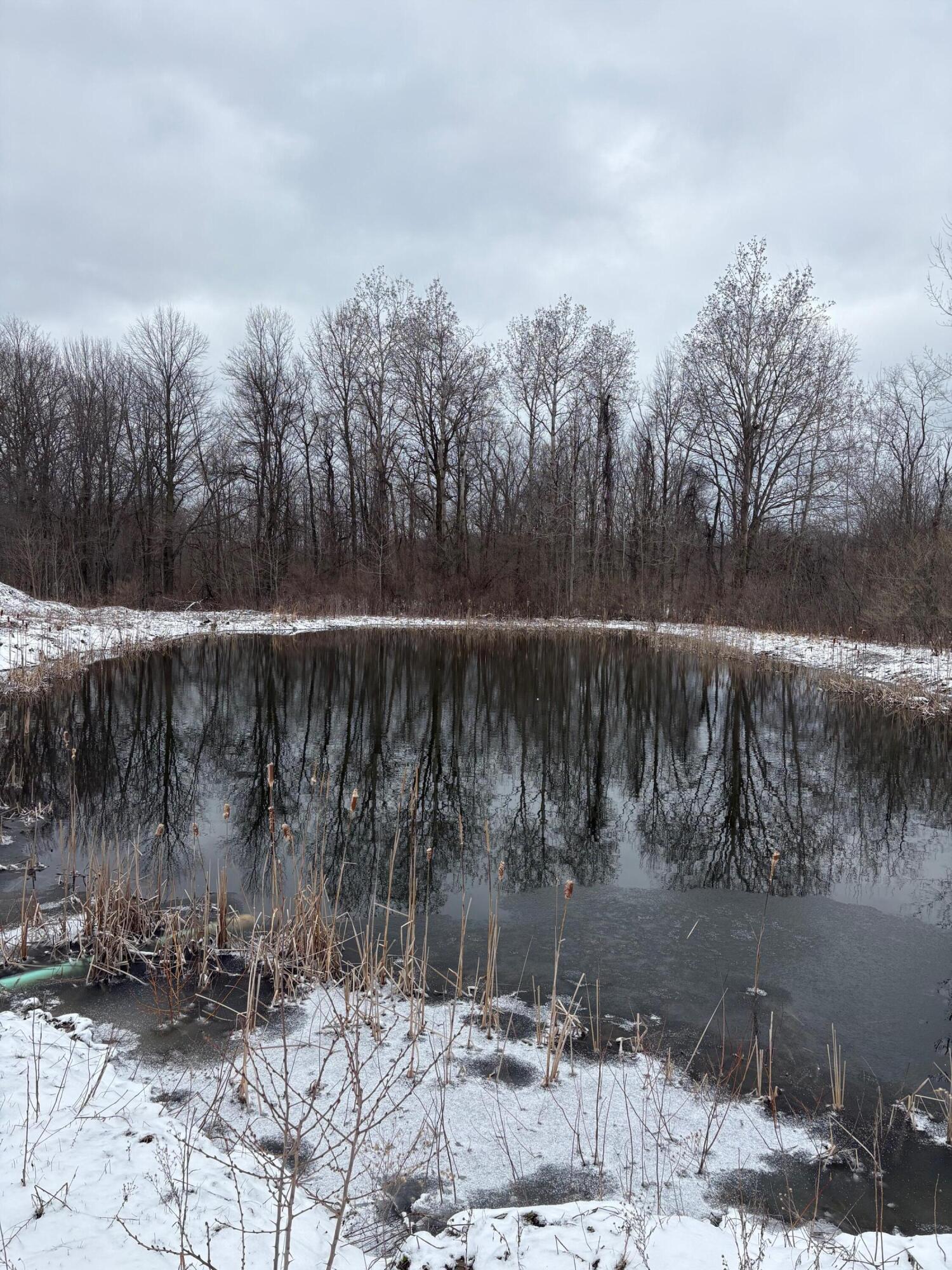 V/l Hidden Creek Trail Hamilton MI 49419