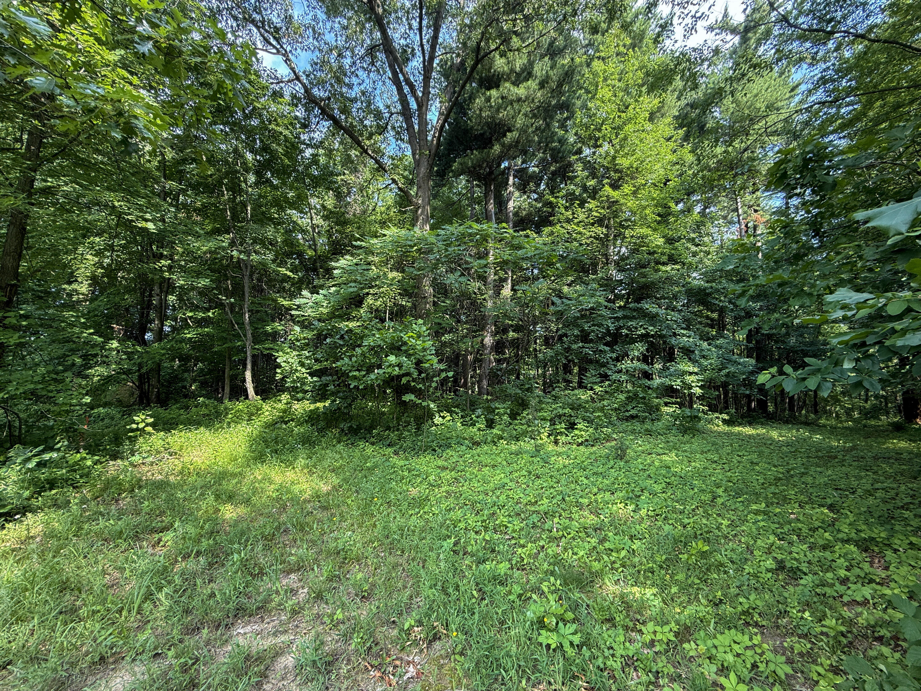 Vl Whitetail Ridge Dowagiac MI 49047