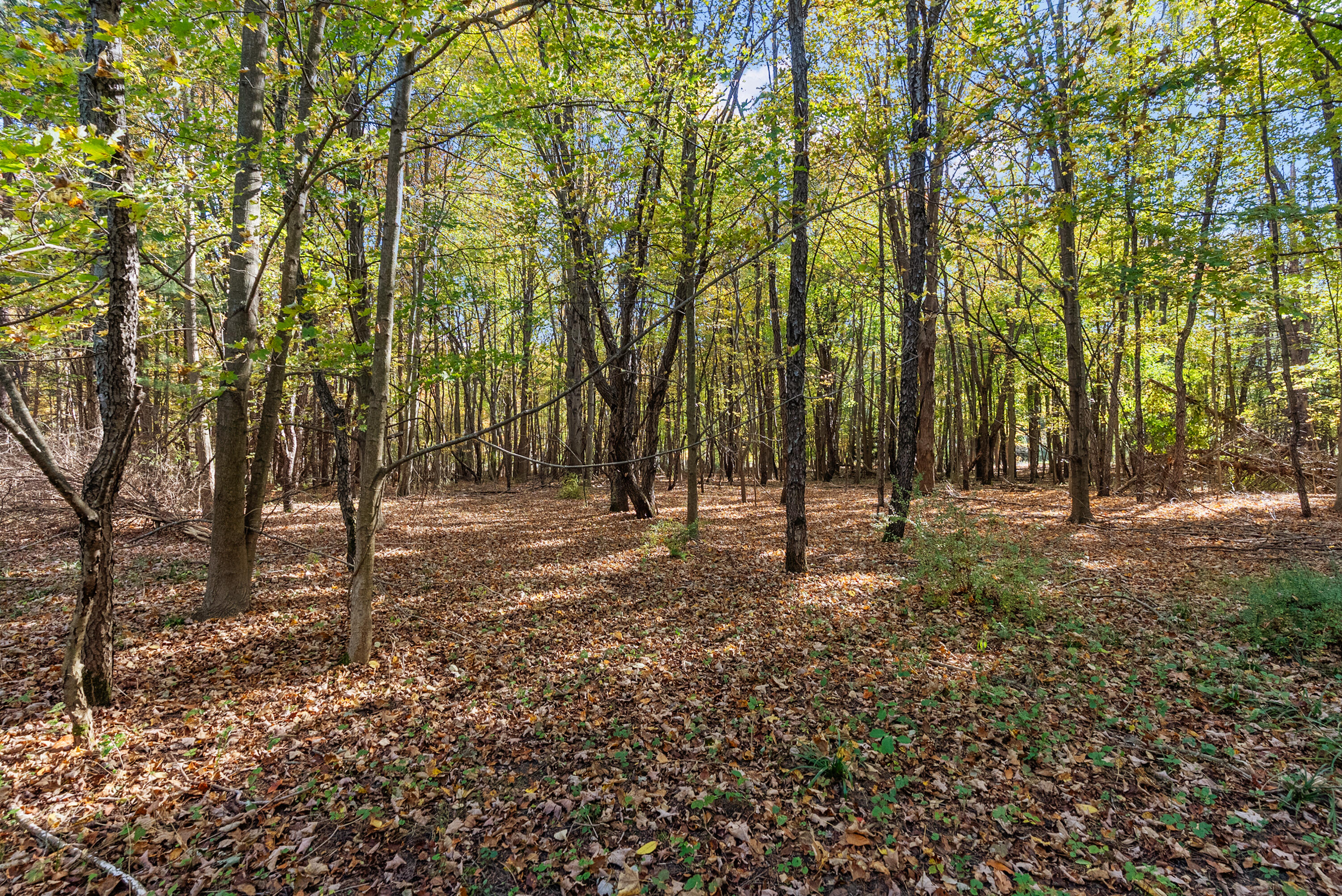 Lot 6 Christopher Court South Haven MI 49090