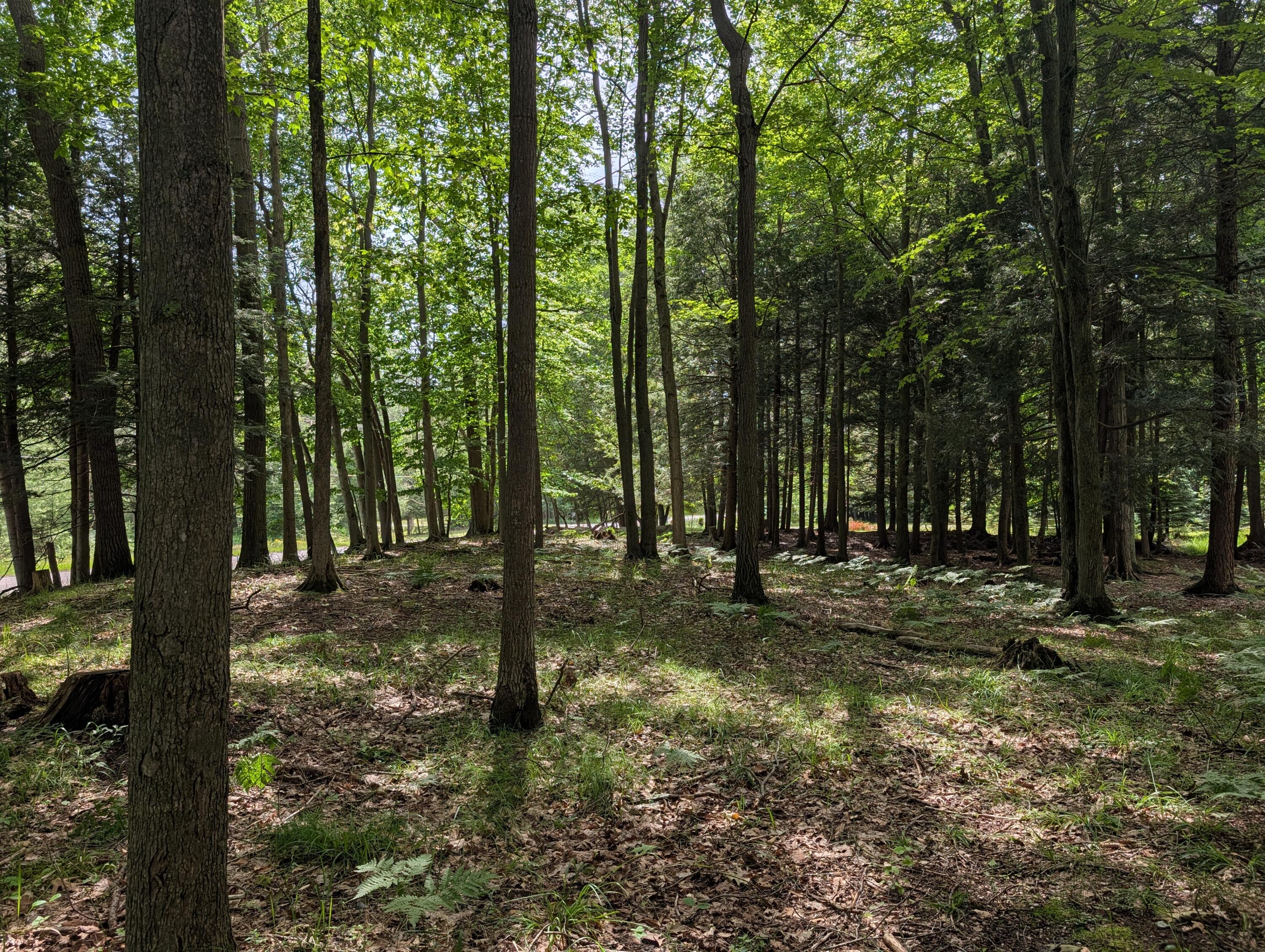 N. Glen Wood Drive Ludington MI 49431