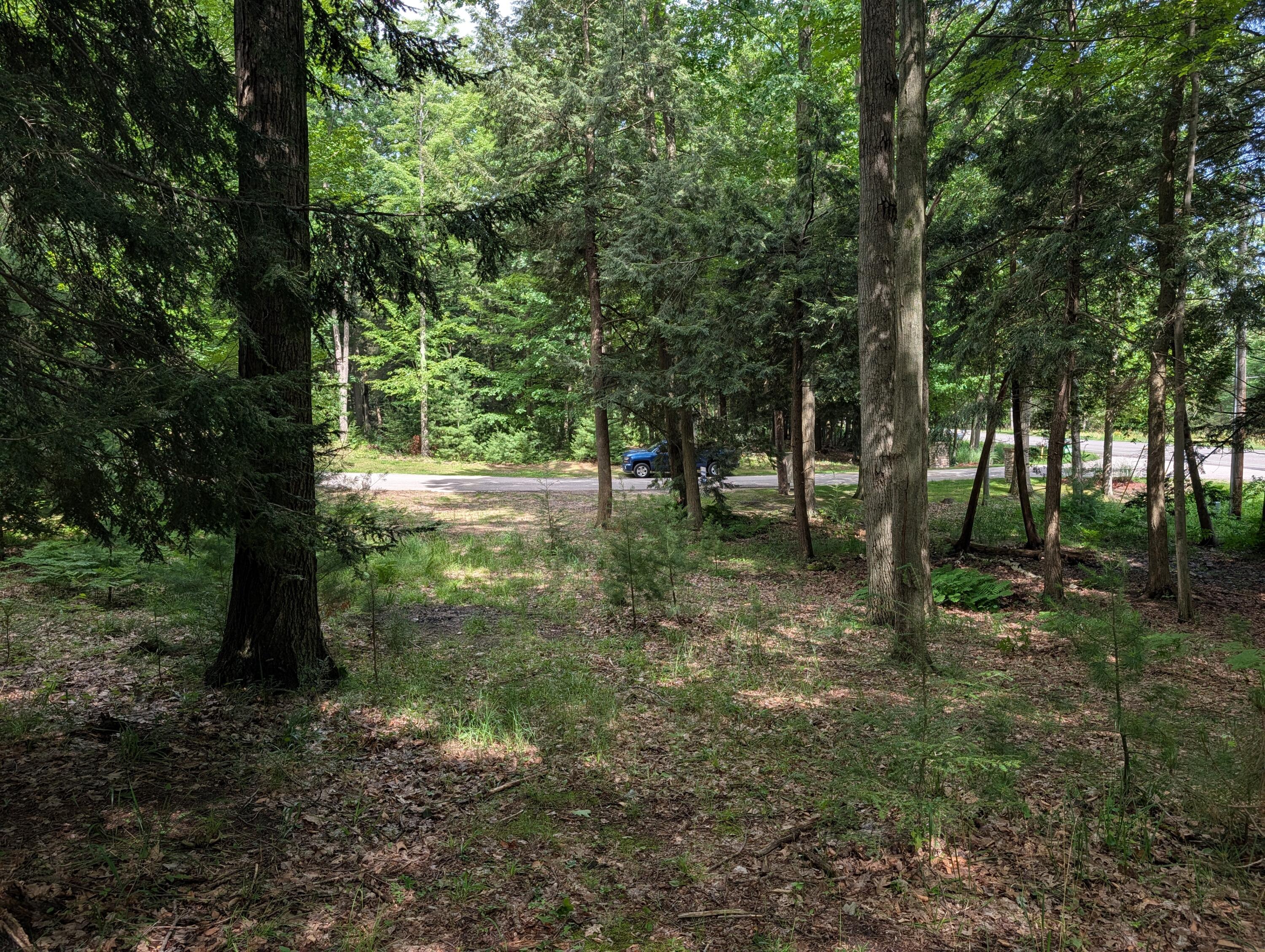 N. Glen Wood Drive Ludington MI 49431