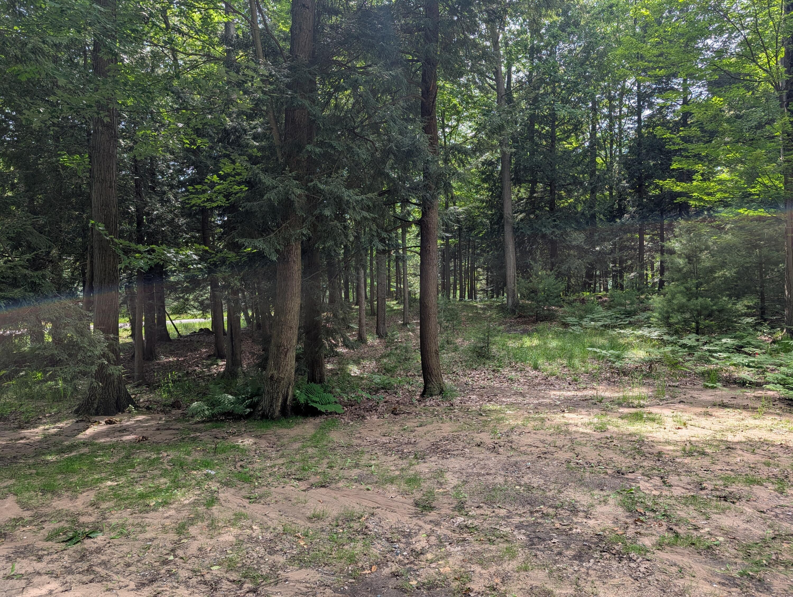 N. Glen Wood Drive Ludington MI 49431
