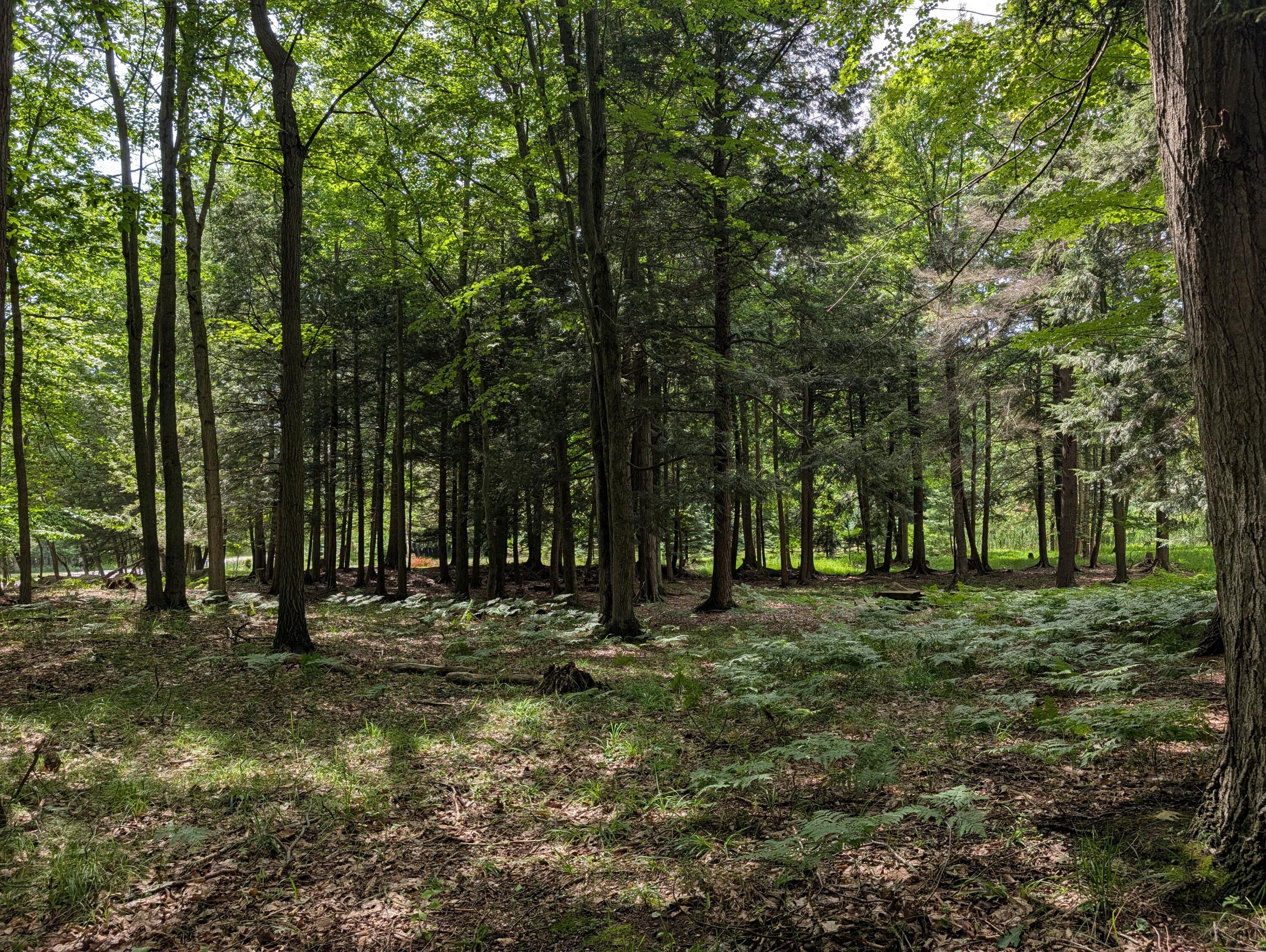 N. Glen Wood Drive Ludington MI 49431
