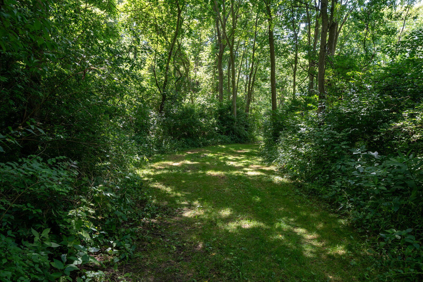 3100 River Road Sodus MI 49126