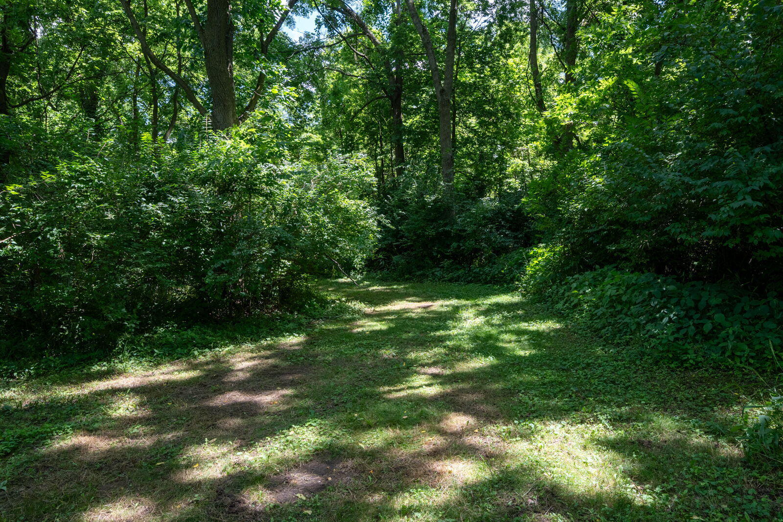 3100 River Road Sodus MI 49126