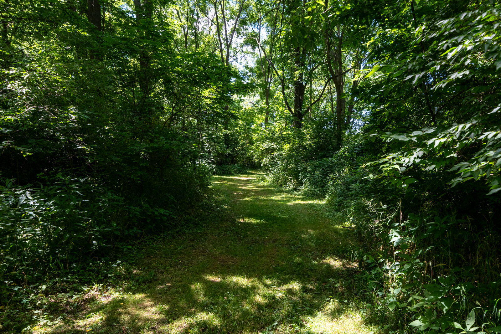3100 River Road Sodus MI 49126