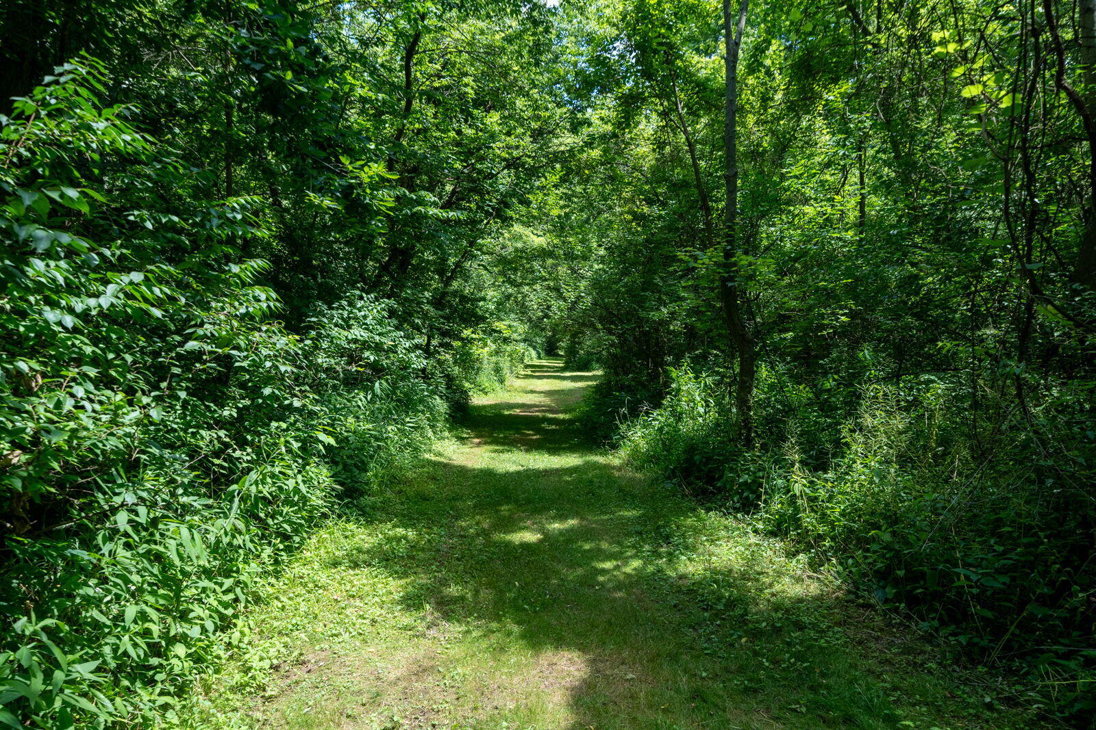 3100 River Road Sodus MI 49126