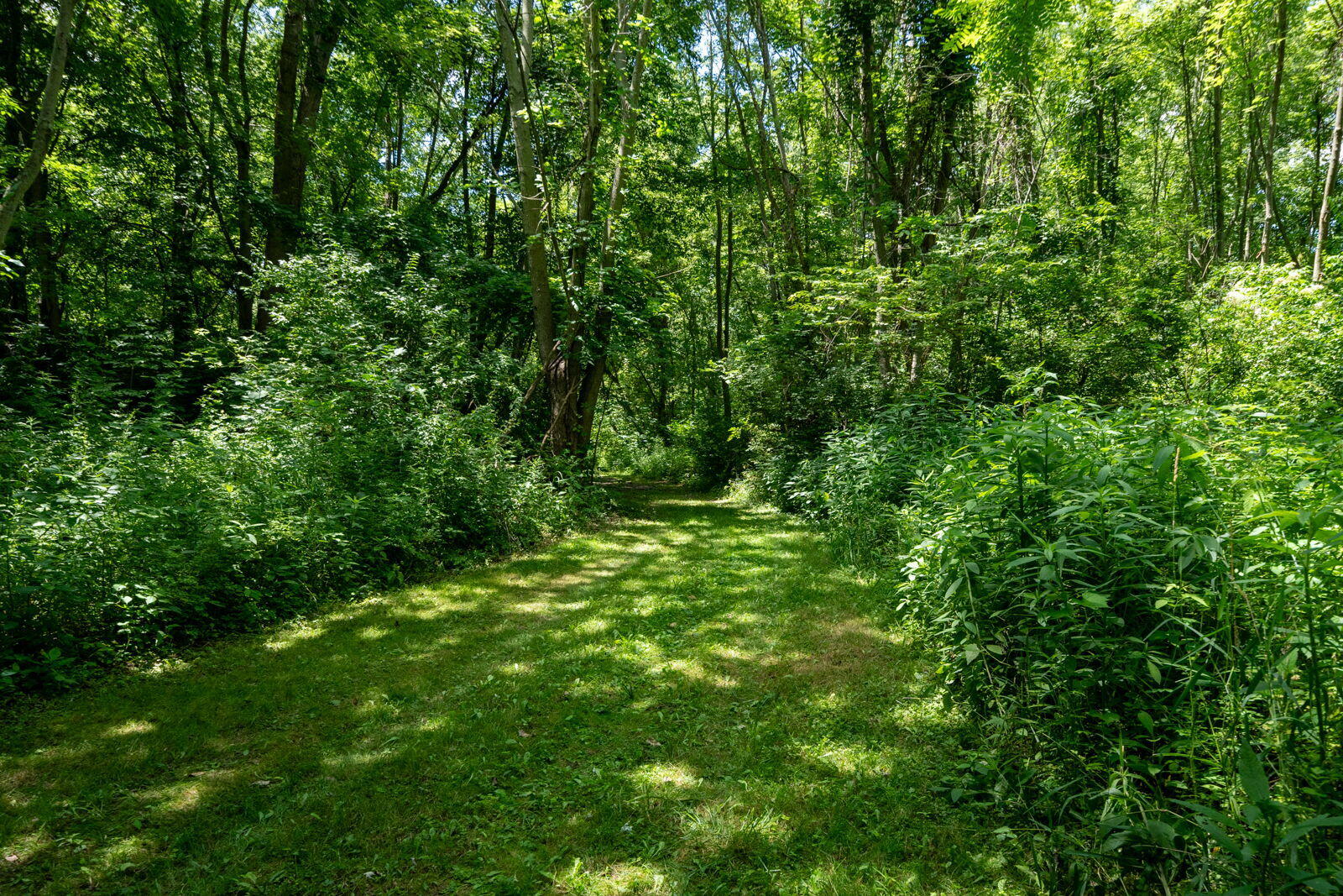 3100 River Road Sodus MI 49126