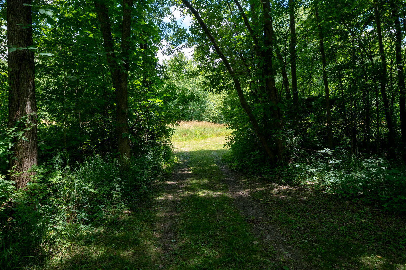 3100 River Road Sodus MI 49126