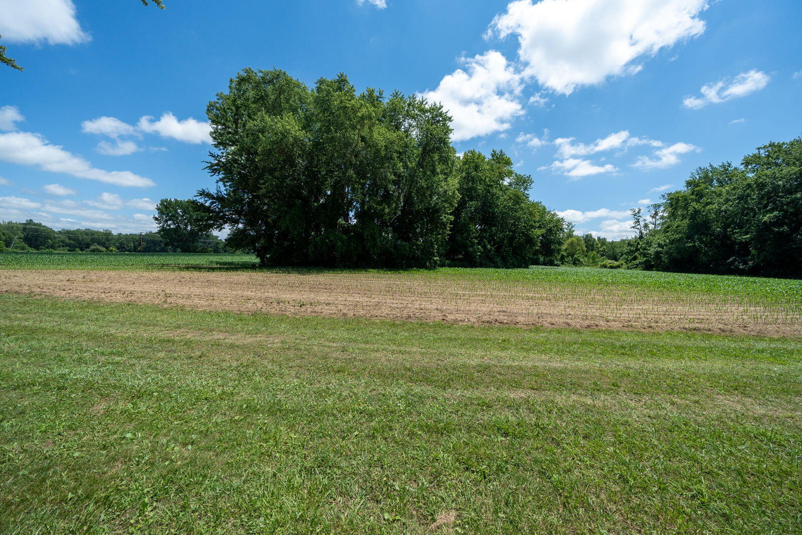 3100 River Road Sodus MI 49126