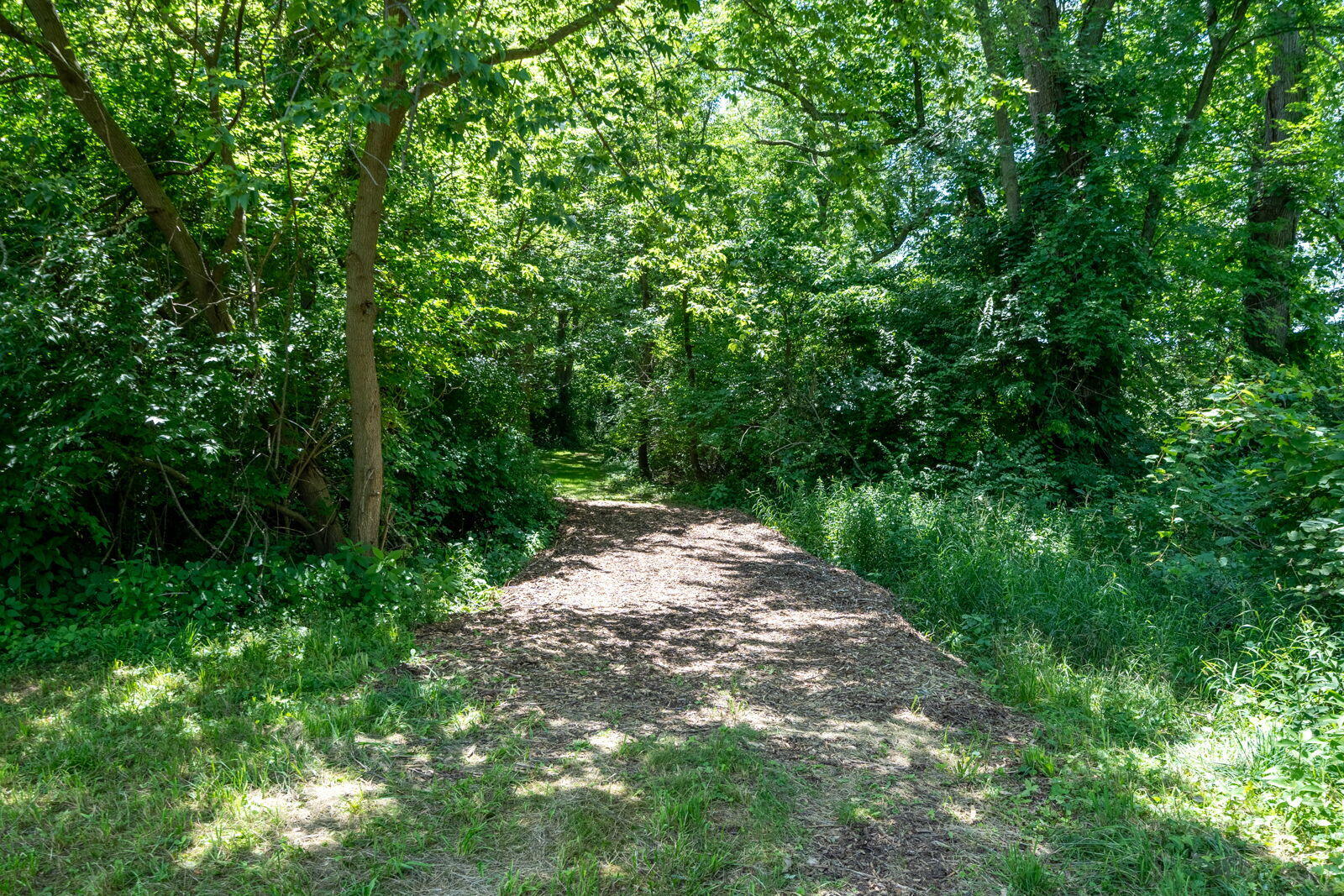 3100 River Road Sodus MI 49126