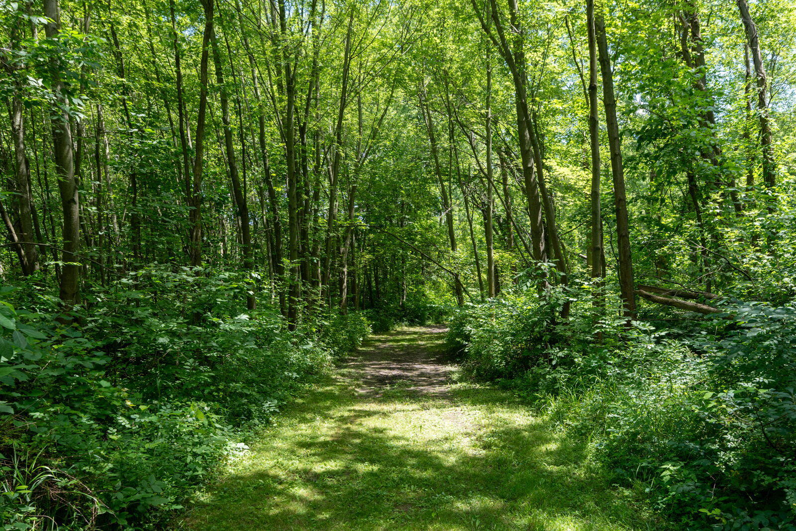 3100 River Road Sodus MI 49126