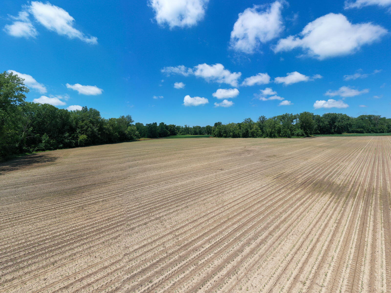 3100 River Road Sodus MI 49126