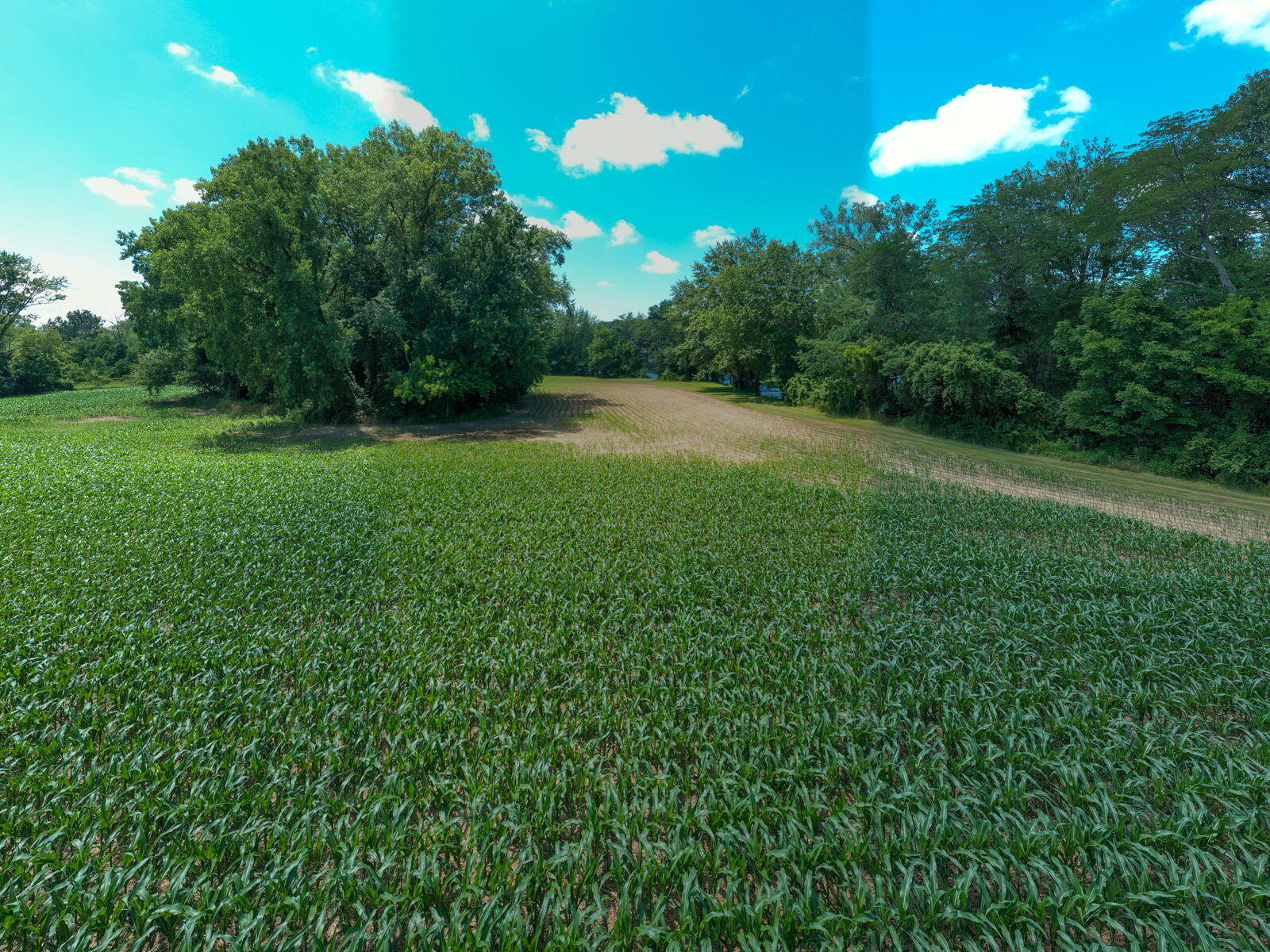 3100 River Road Sodus MI 49126