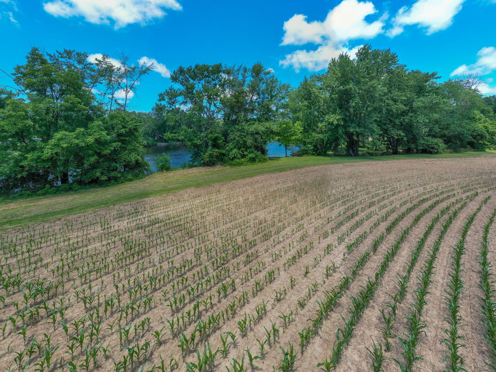 3100 River Road Sodus MI 49126
