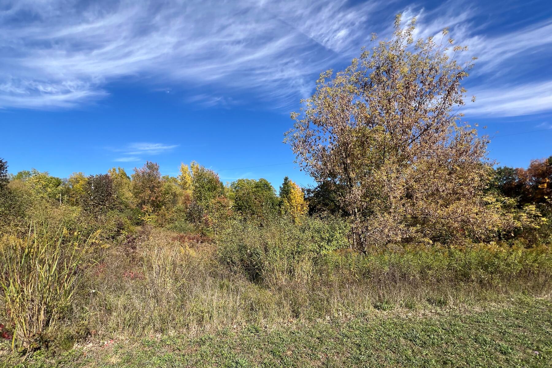 5577 Cannon Meadows Drive Ada MI 49301