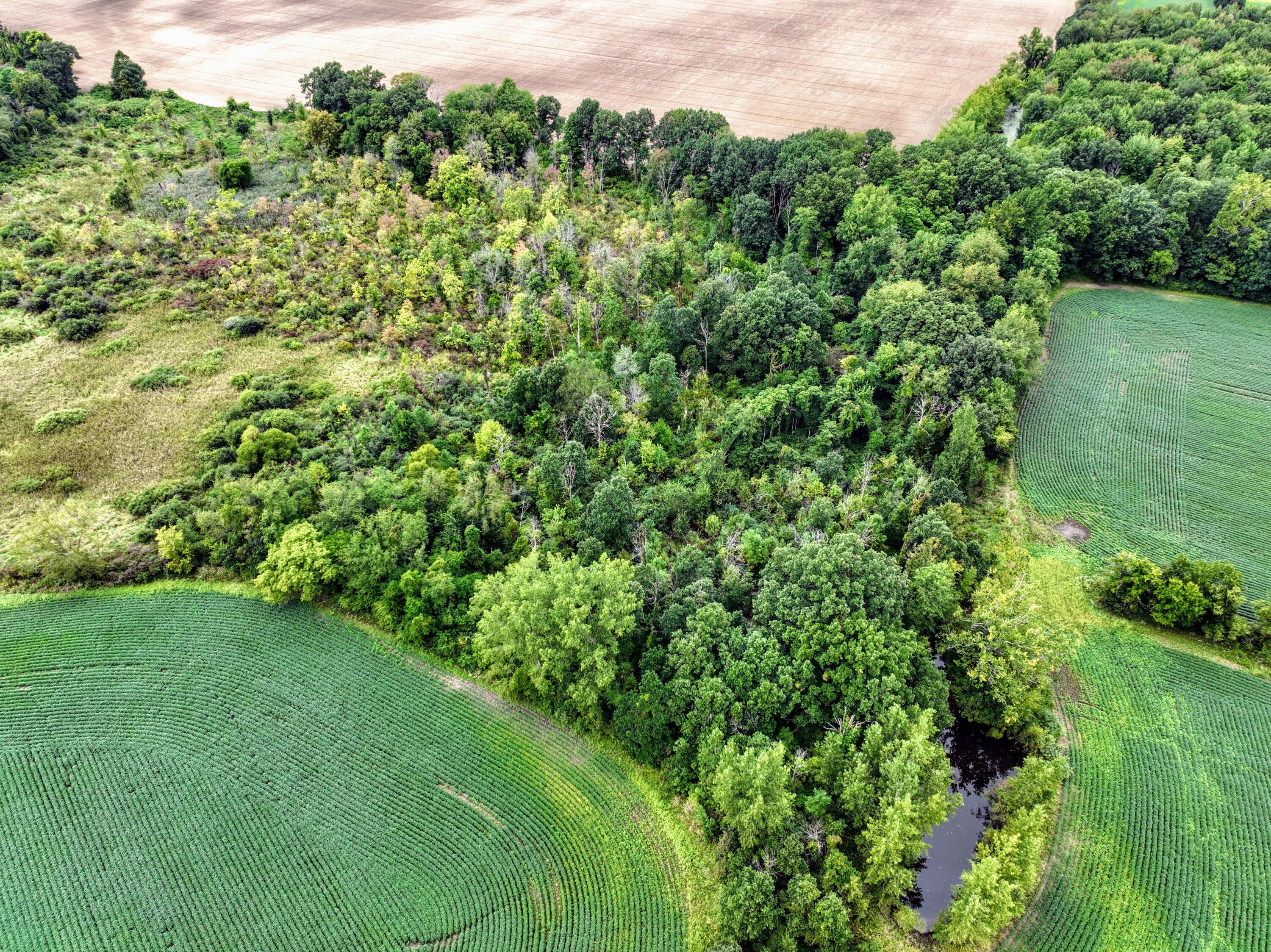 Ville Cr 352 Decatur MI 49045