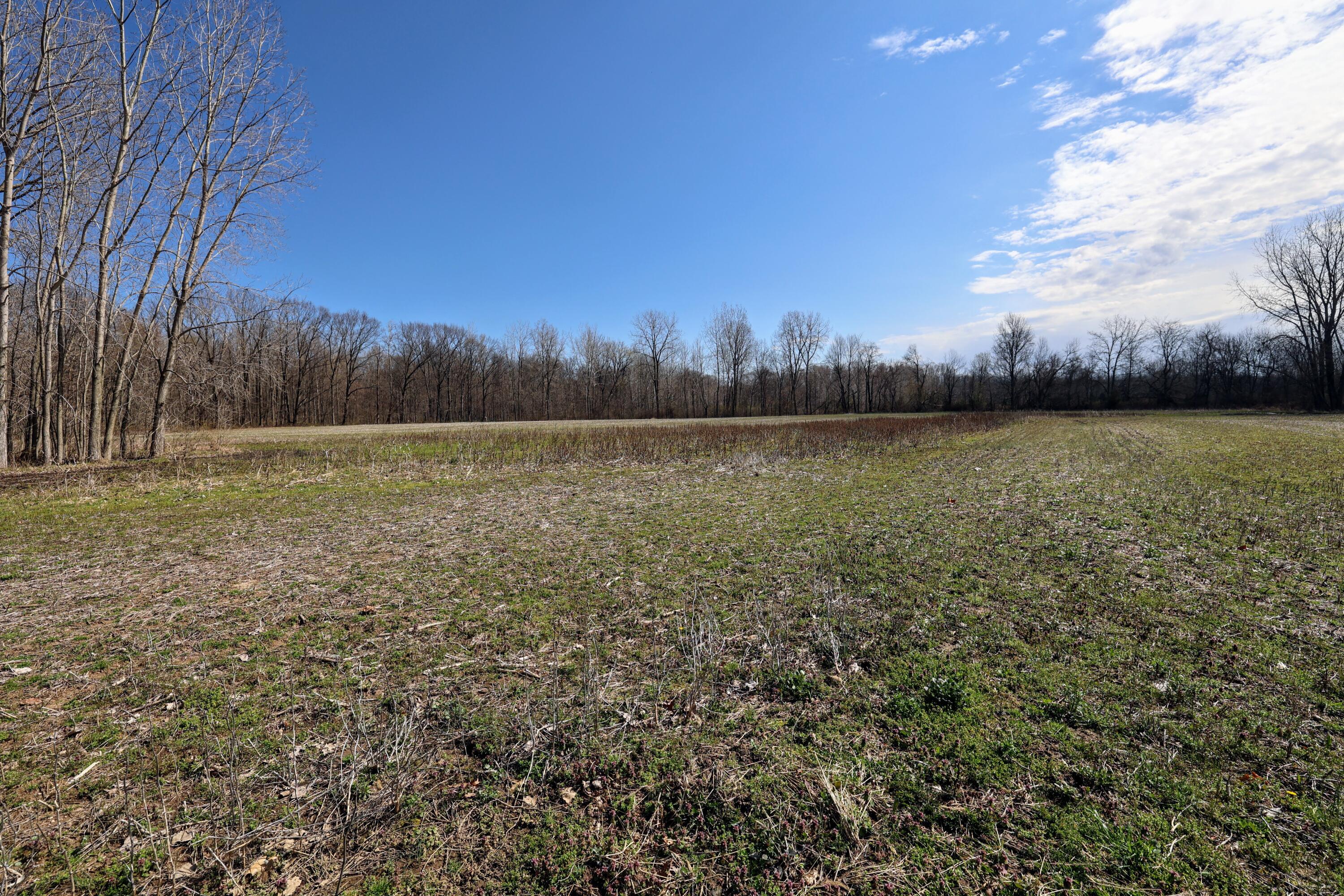Ville Cr 352 Decatur MI 49045
