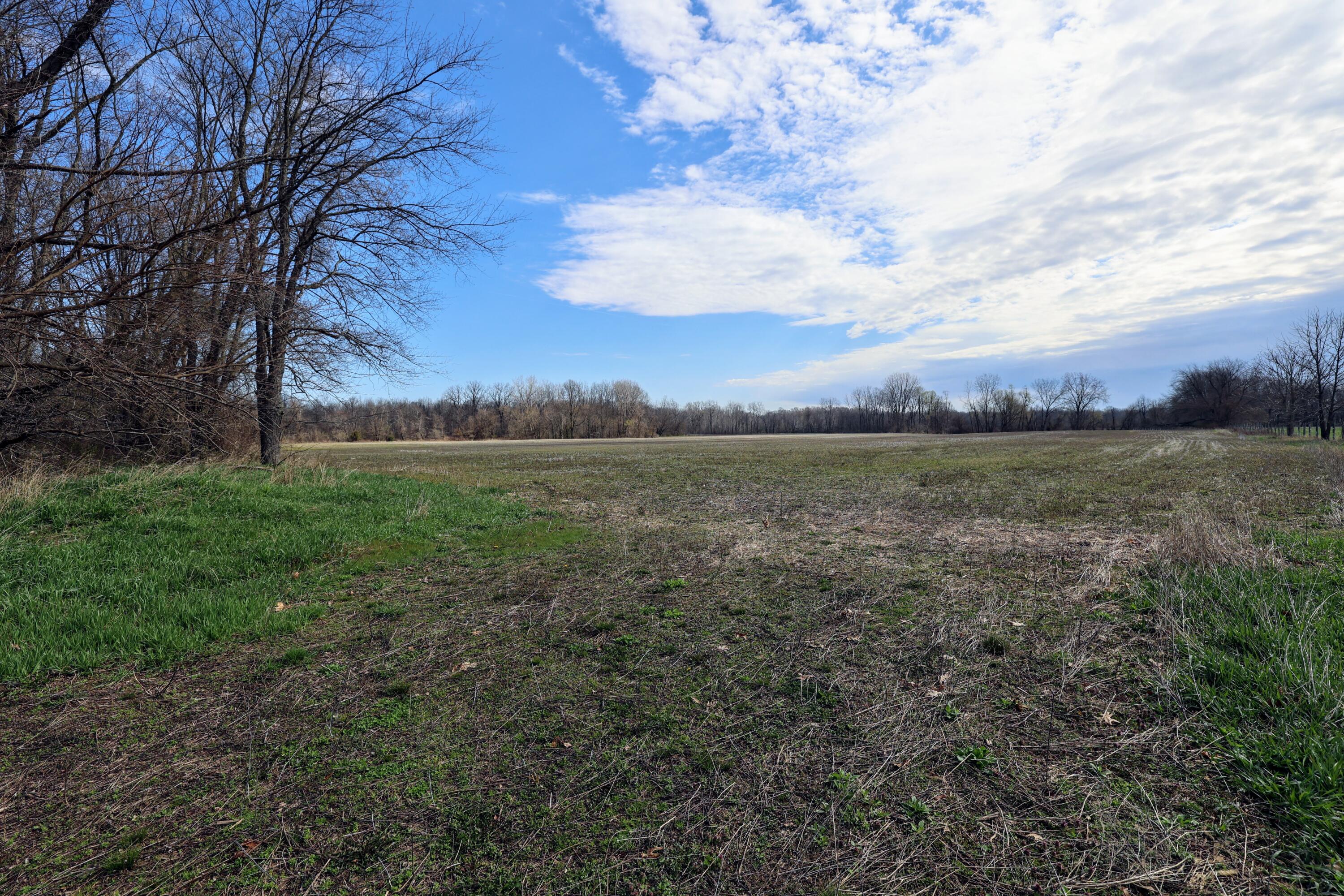 Ville Cr 352 Decatur MI 49045