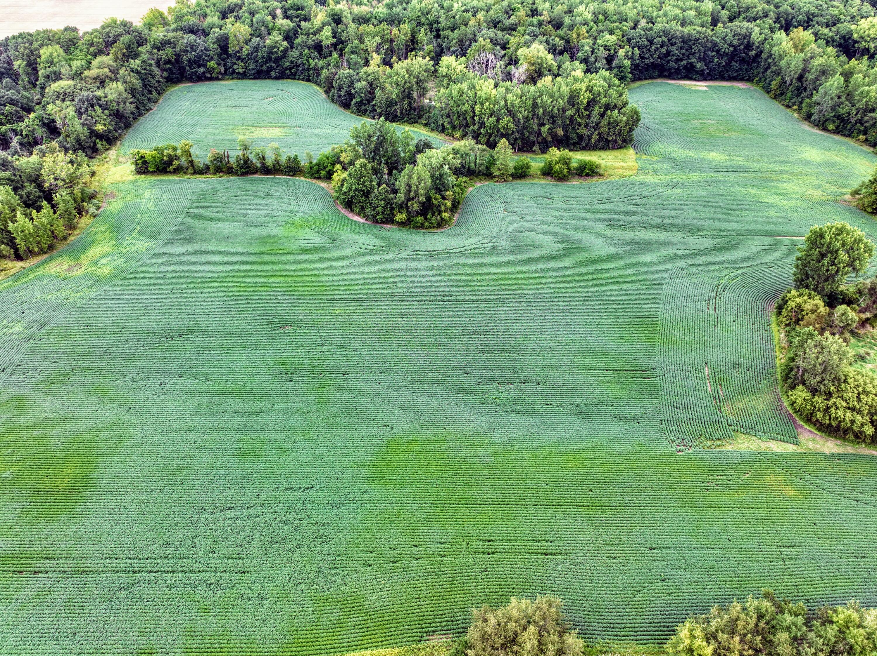 Ville Cr 352 Decatur MI 49045