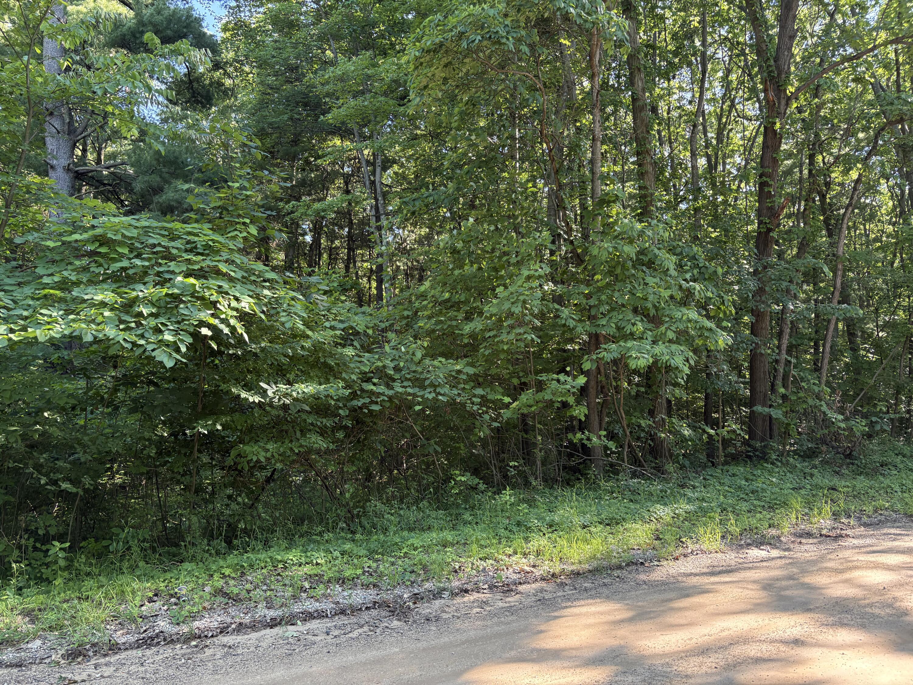 104TH Avenue Allegan MI 49010
