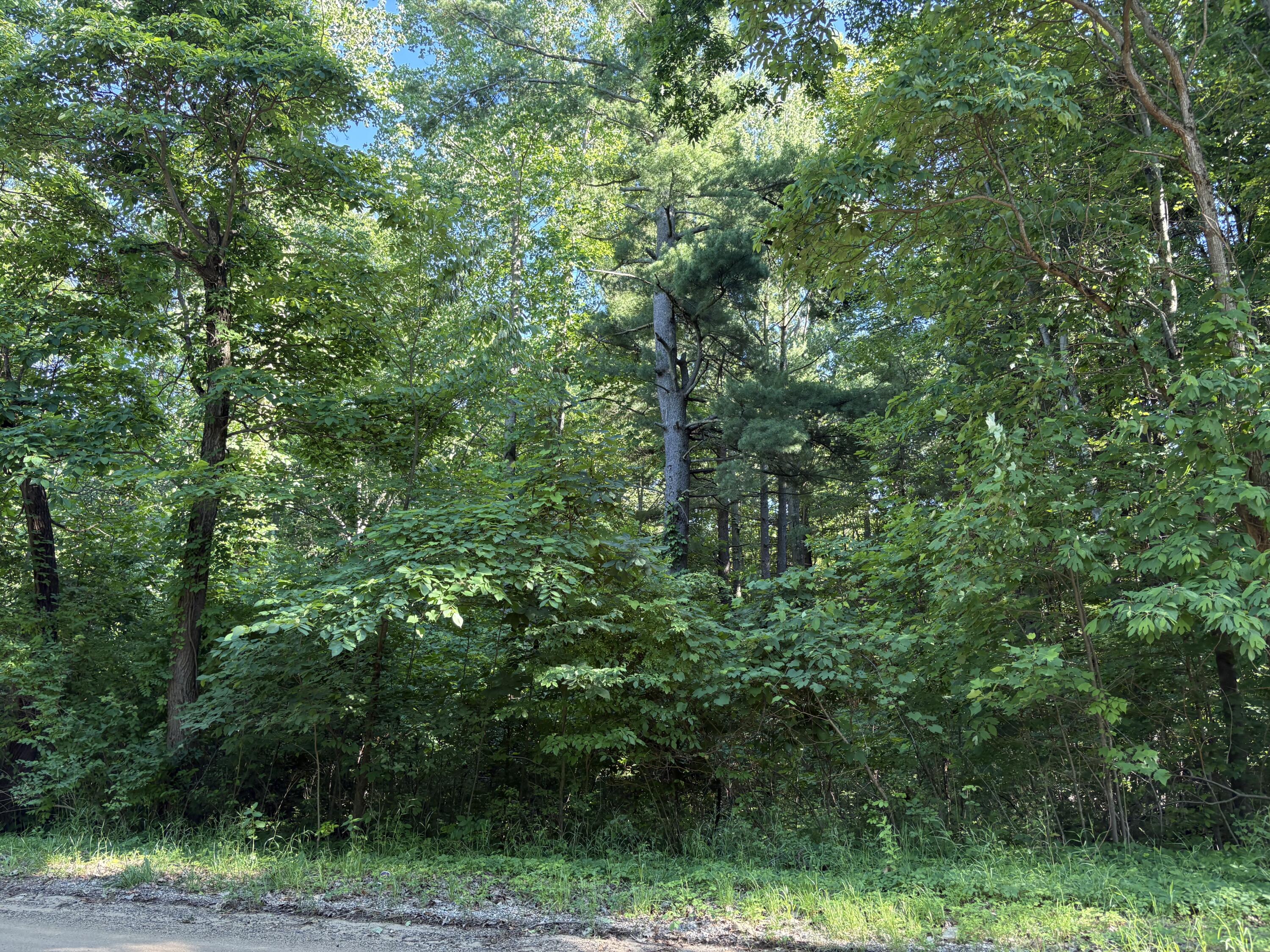 104TH Avenue Allegan MI 49010