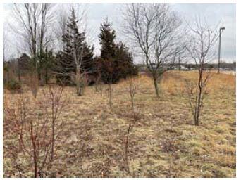 6300 Prairie Street Norton Shores MI 49444