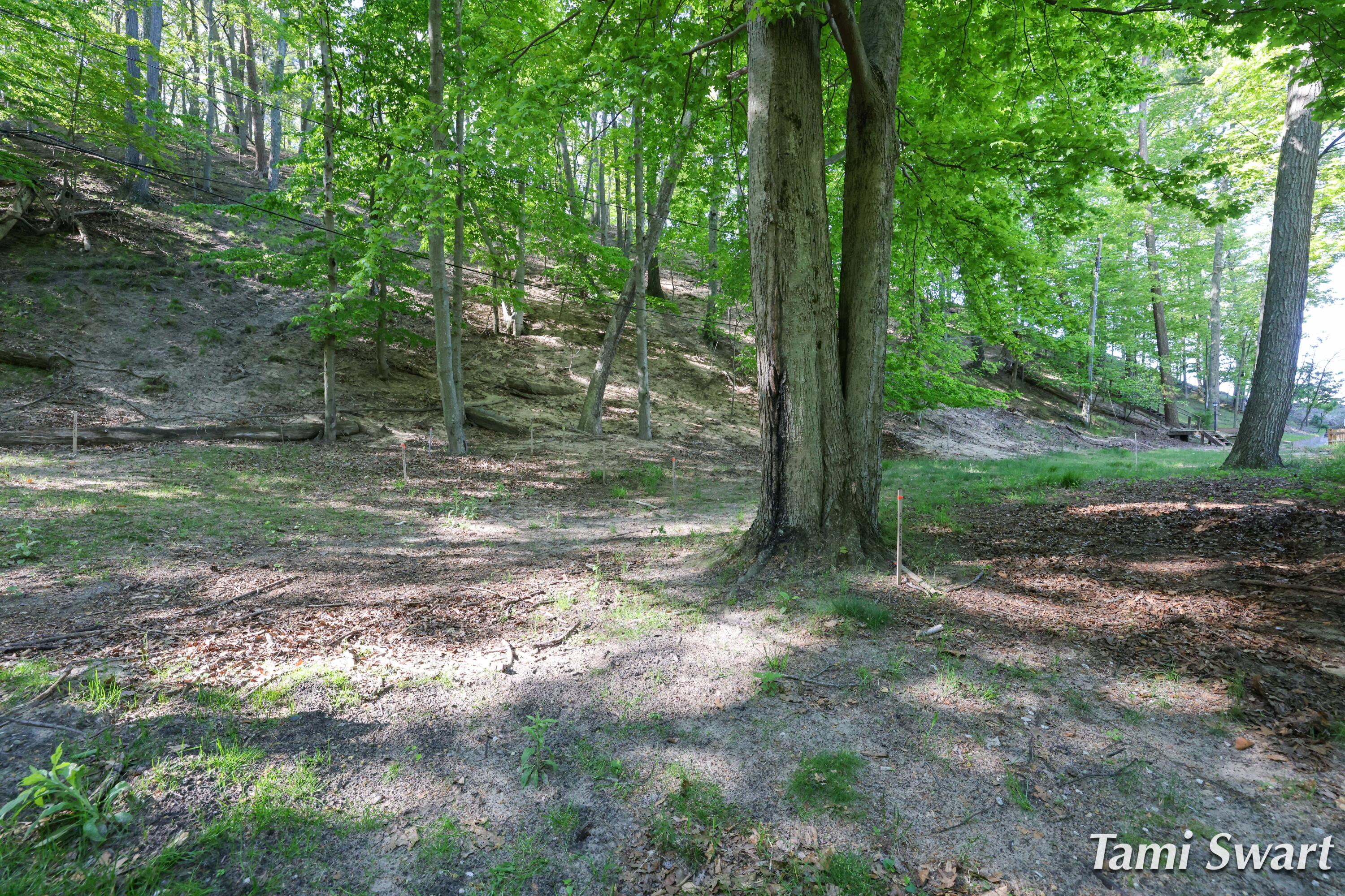 3383 Winnetaska Road Norton Shores MI 49441