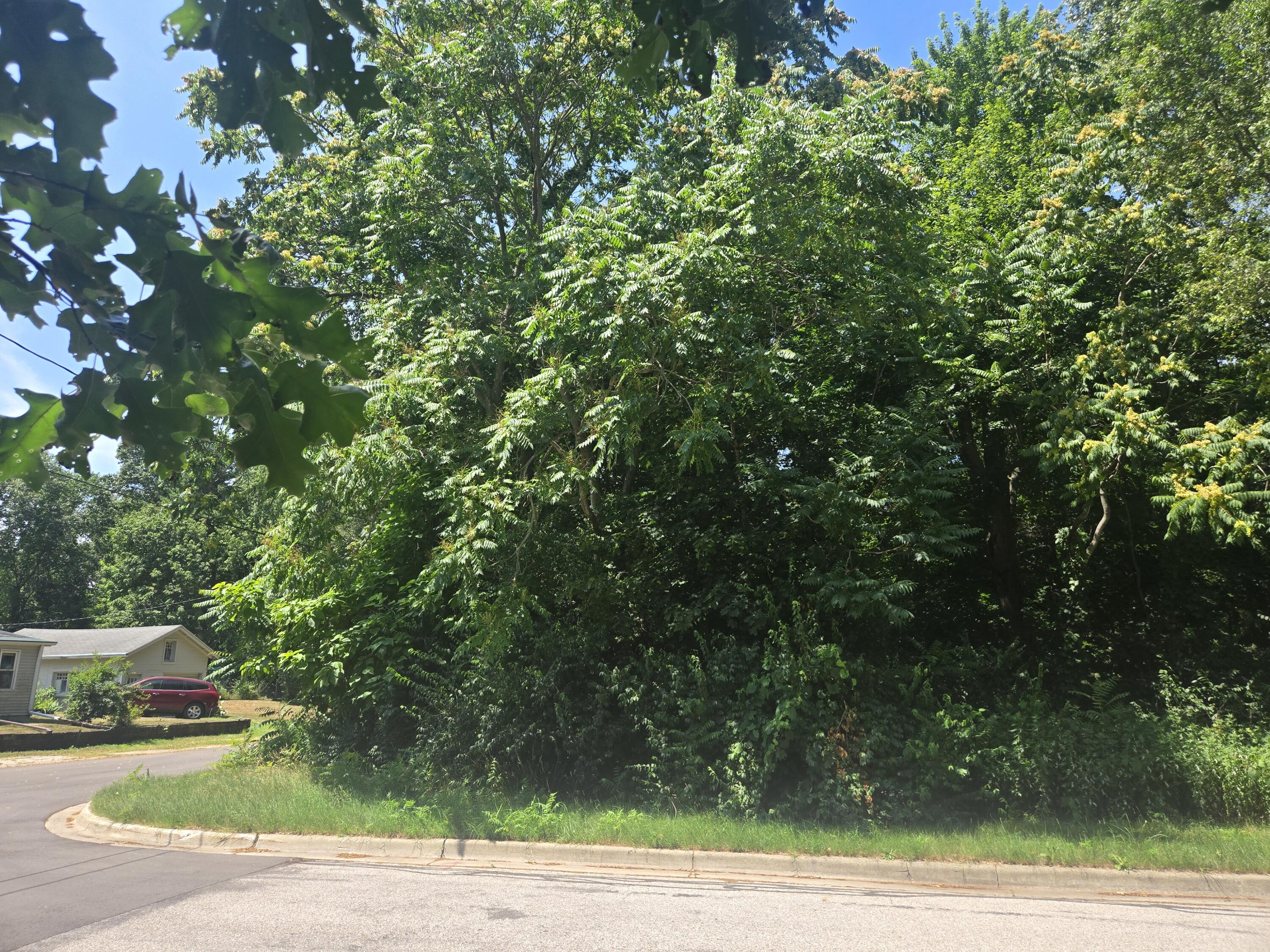 Pine Street Stevensville MI 49127
