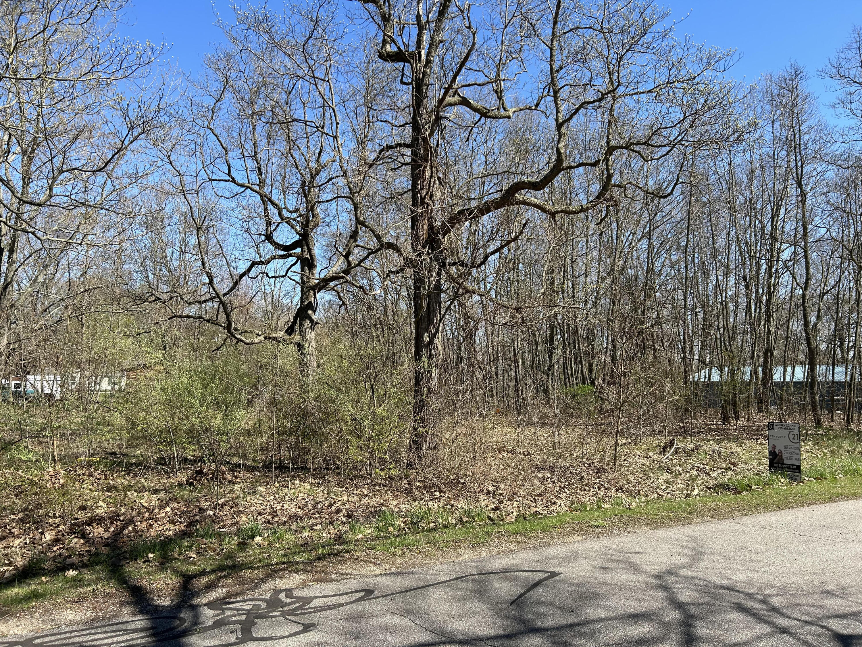 6609 Hollywood Drive Coloma MI 49038