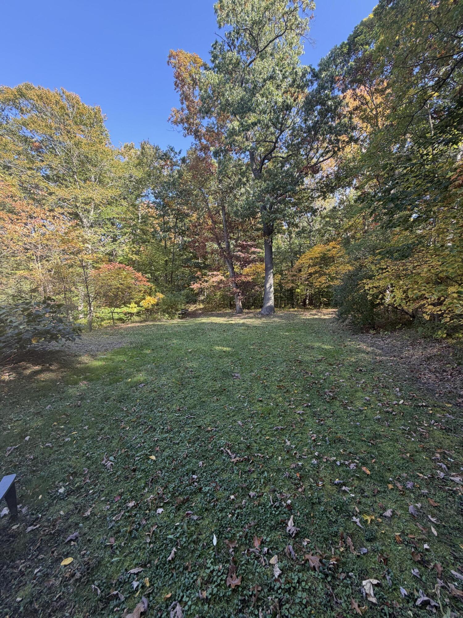 0 62nd Street Saugatuck MI 49453