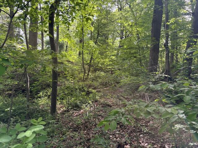 19343 Ravine Drive New Buffalo MI 49117