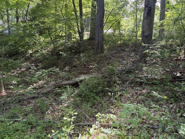 19343 Ravine Drive New Buffalo MI 49117