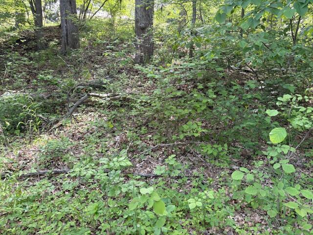19343 Ravine Drive New Buffalo MI 49117