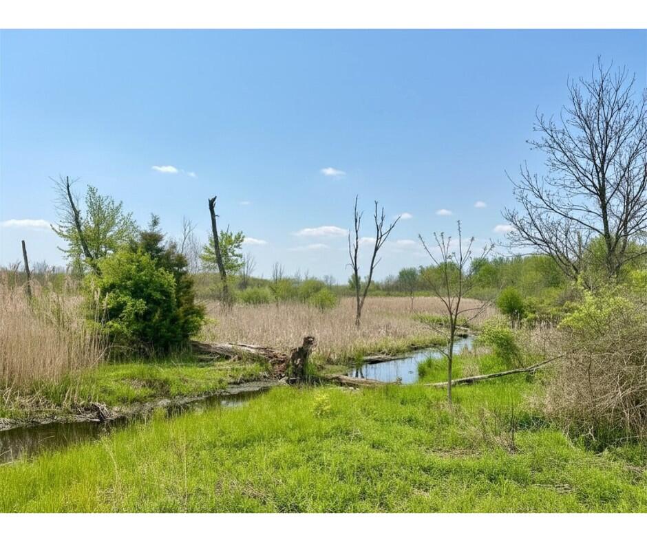 8603 Oakland Drive Portage MI 49024