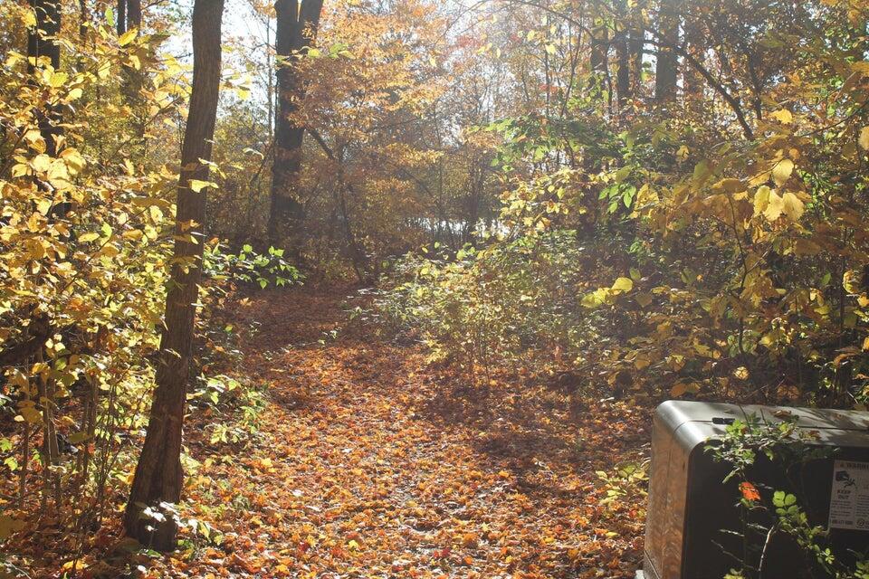 Ville Lake Drive Allegan MI 49010