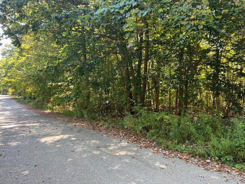 Ville Lake Drive Allegan MI 49010