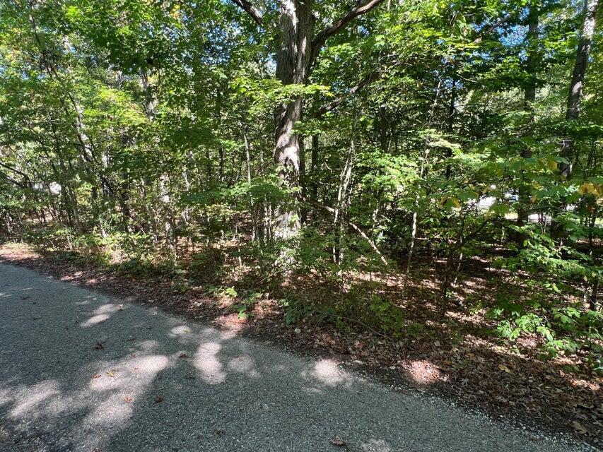 Ville Lake Drive Allegan MI 49010