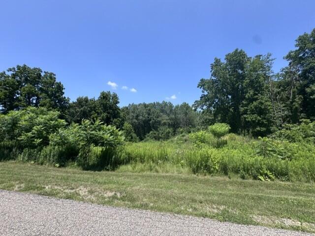 4365 English Setter Drive Allegan MI 49010