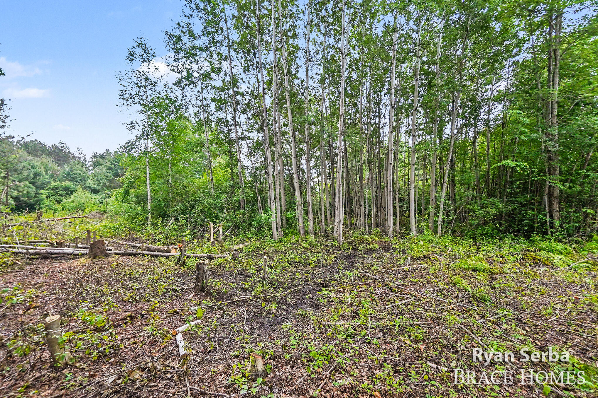 0 N Pine Ridge Drive Ludington MI 49431