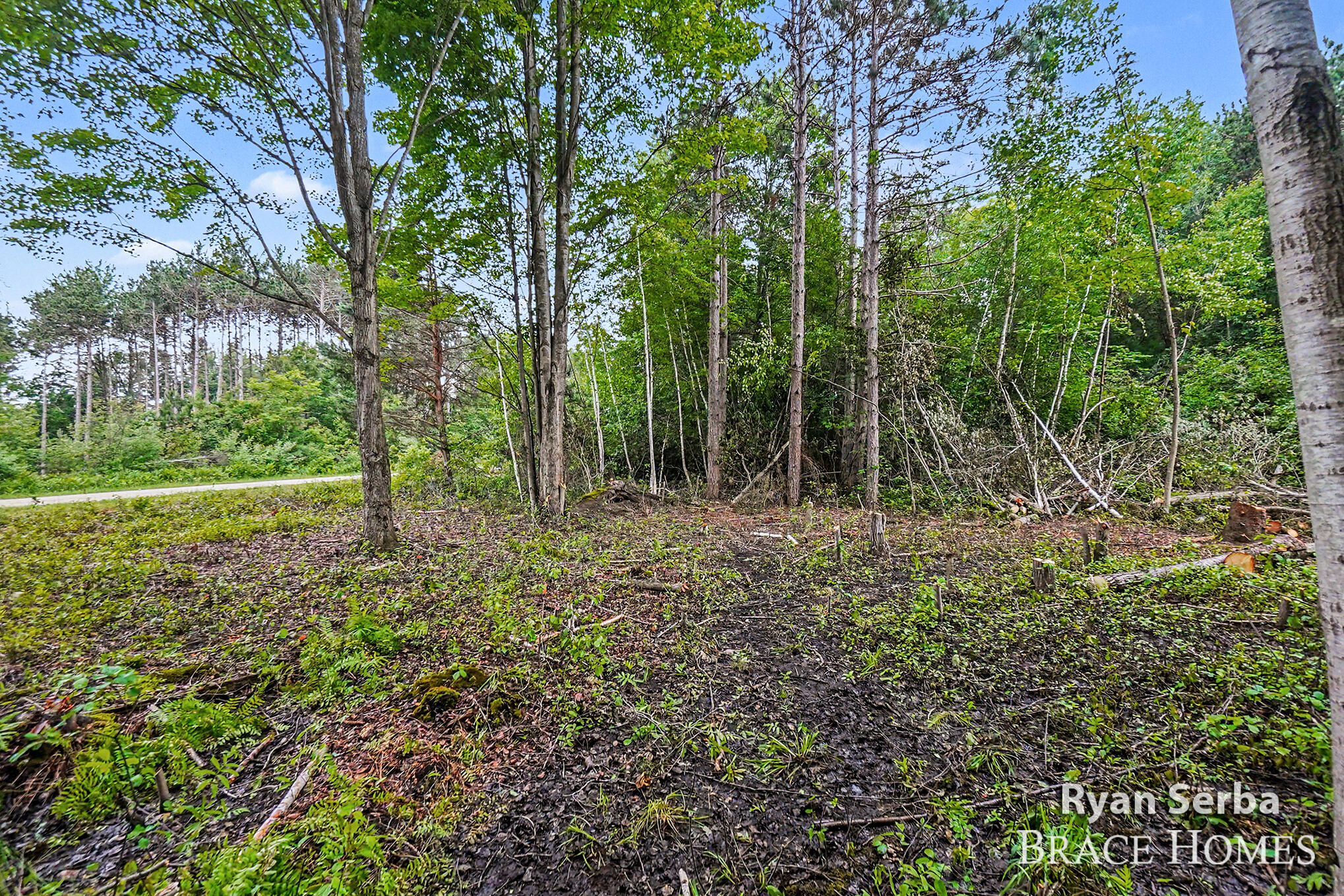 0 N Pine Ridge Drive Ludington MI 49431