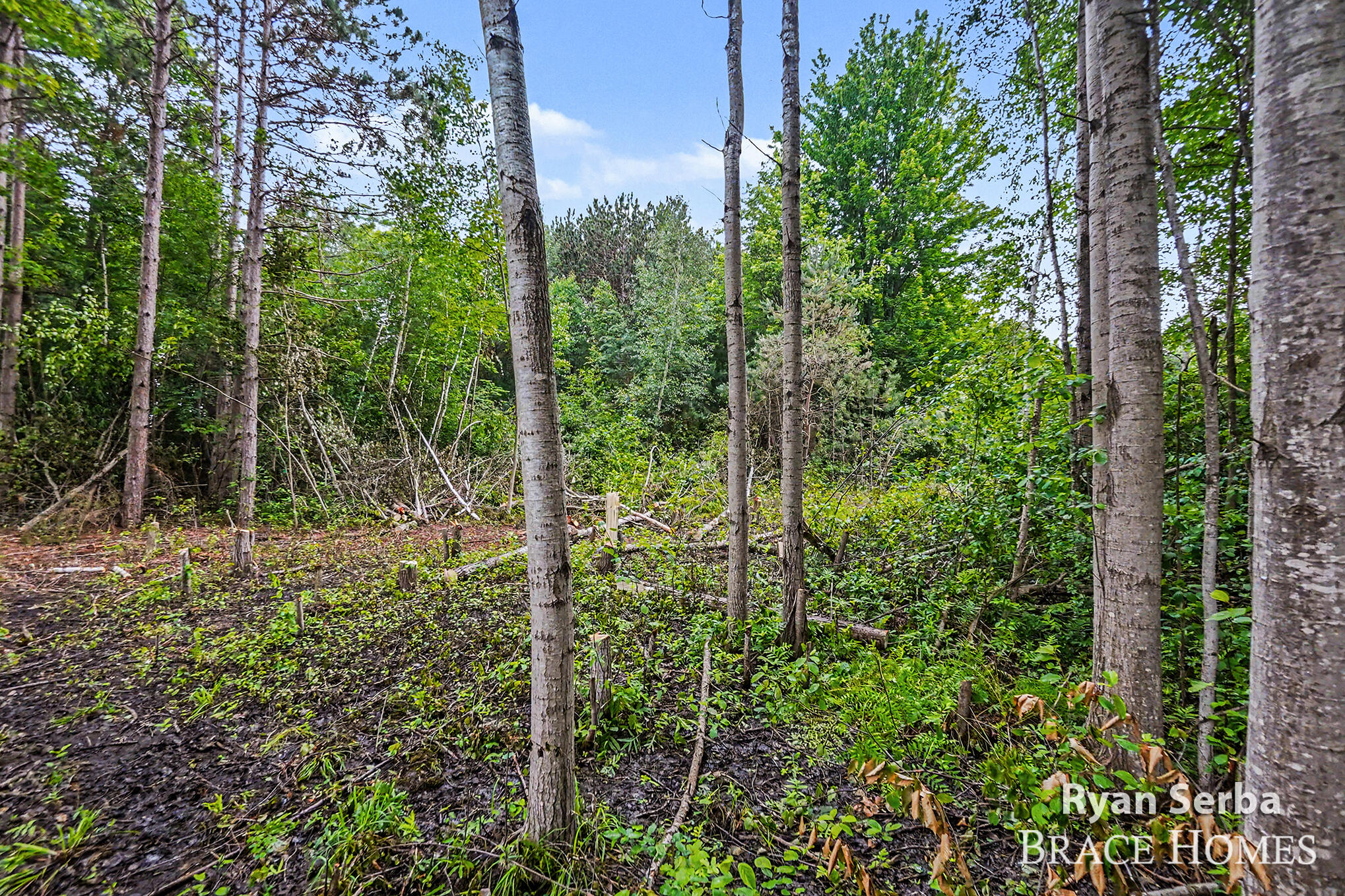 0 N Pine Ridge Drive Ludington MI 49431