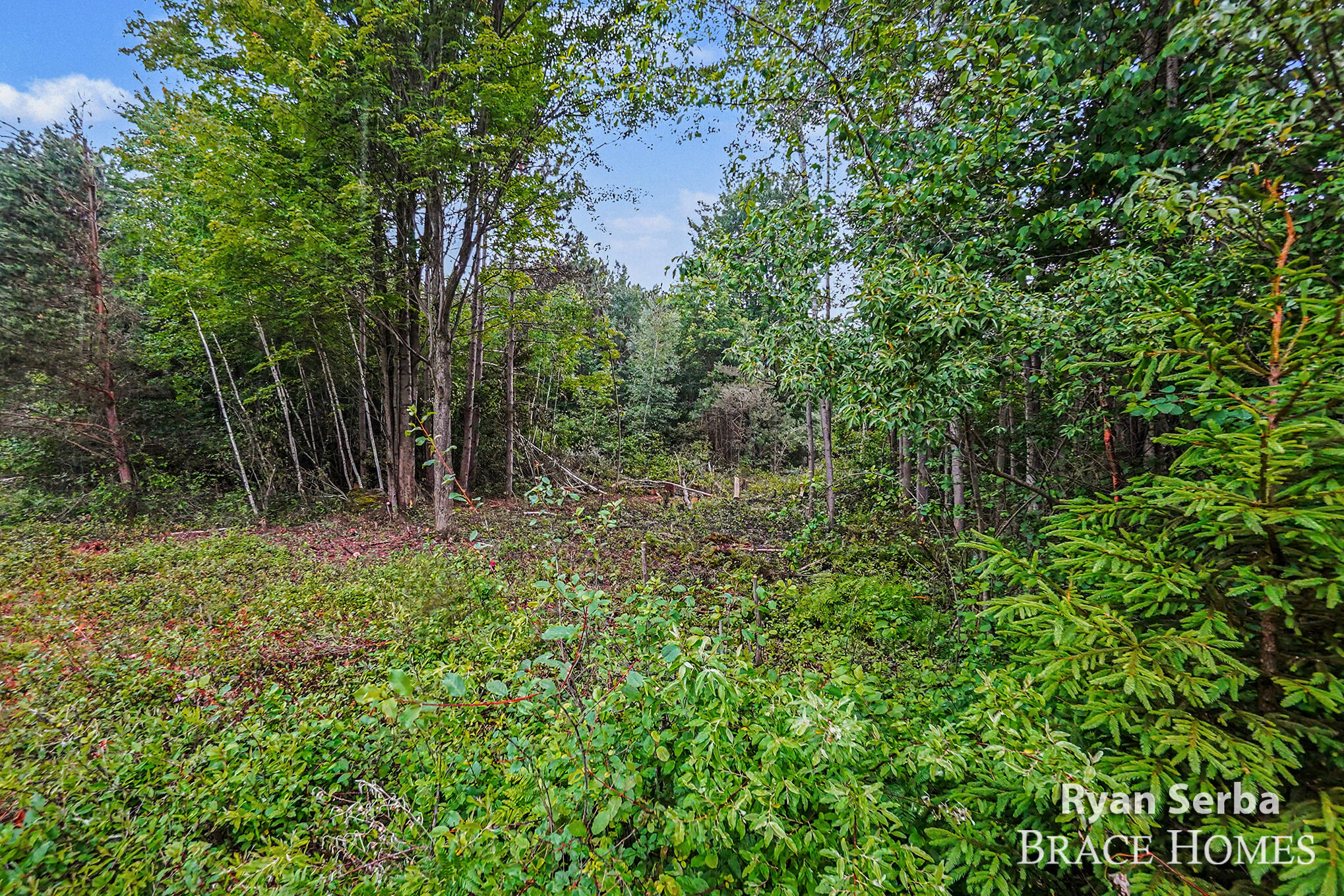 0 N Pine Ridge Drive Ludington MI 49431