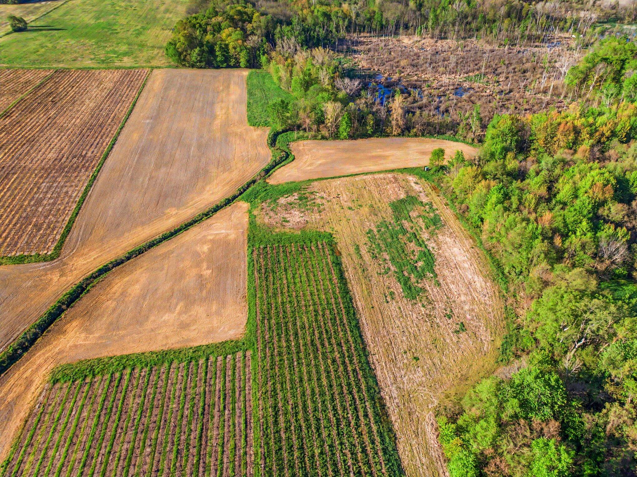 V/l E Hinchman Road Berrien Springs MI 49103