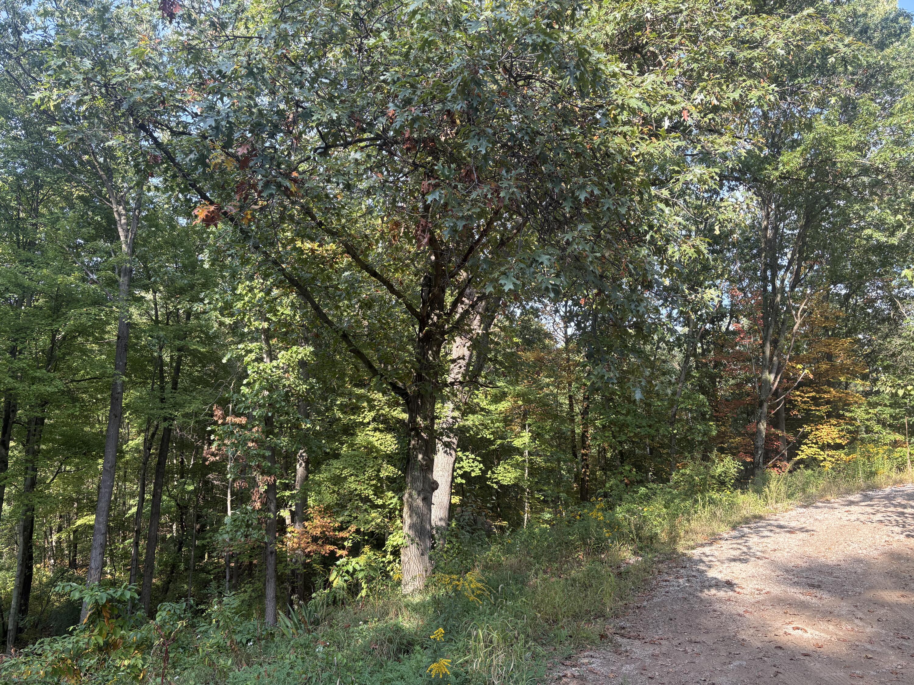 2097 Geneva Lane Norton Shores MI 49441