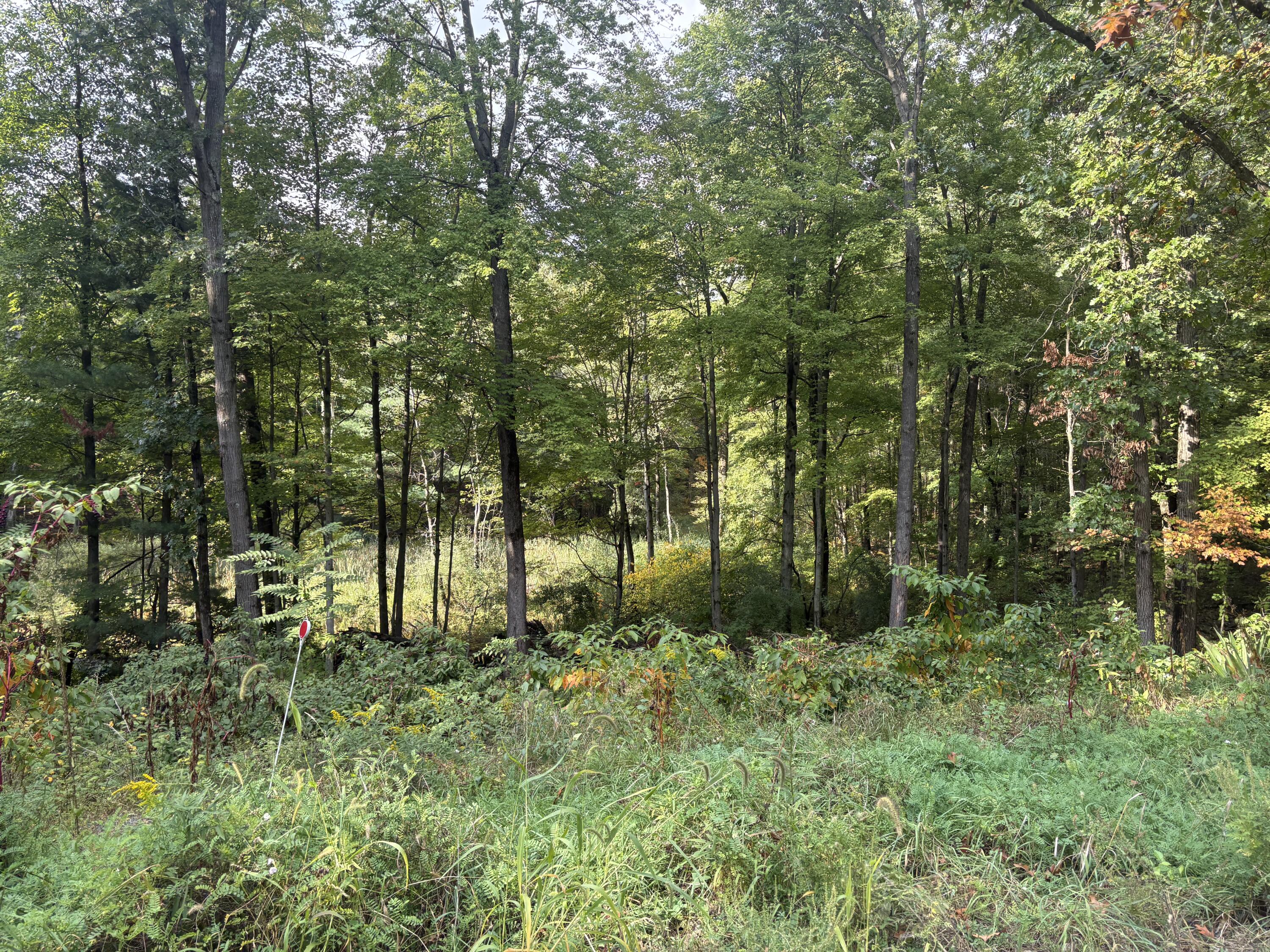 2097 Geneva Lane Norton Shores MI 49441